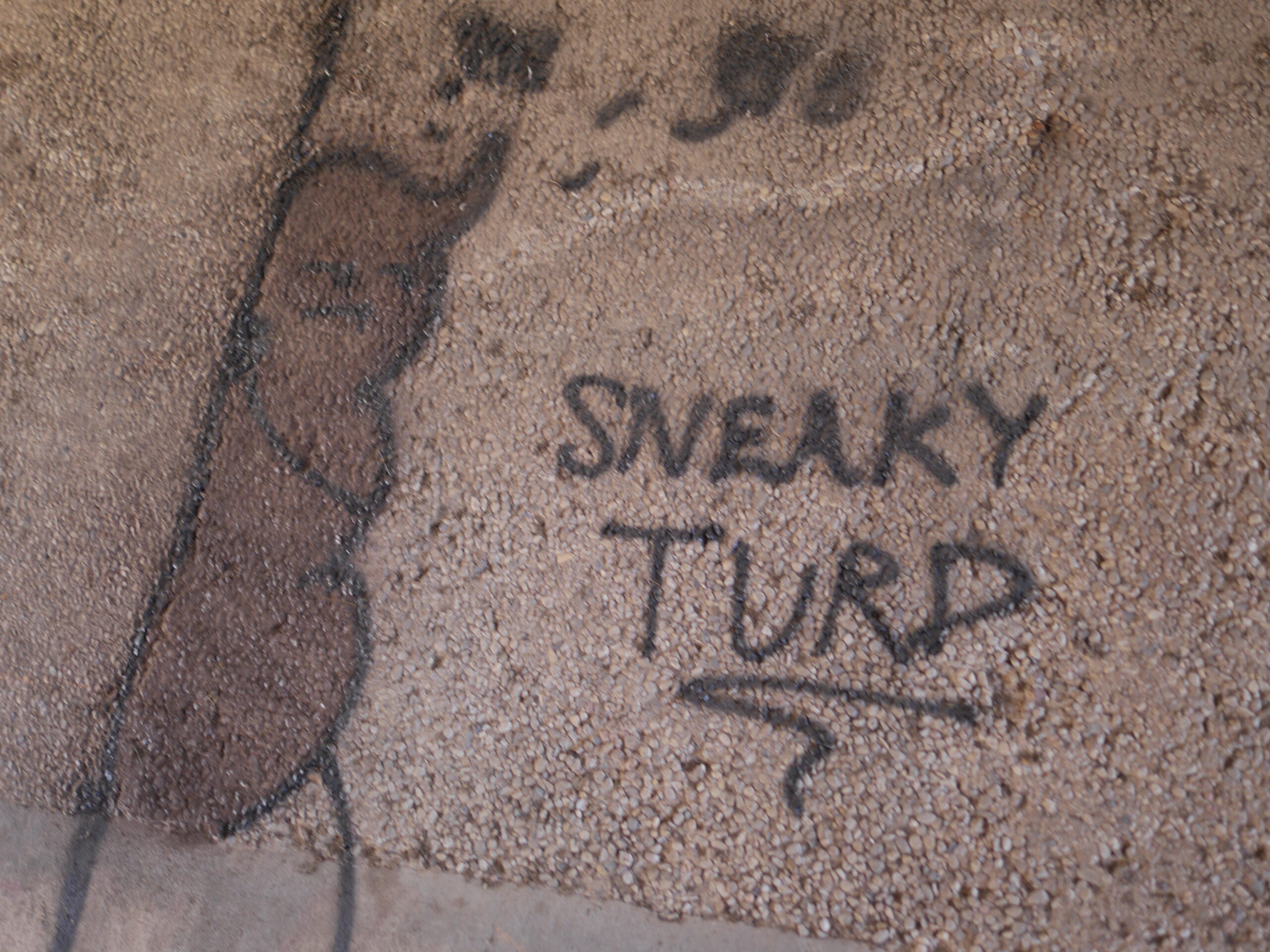 Sneaky Turd