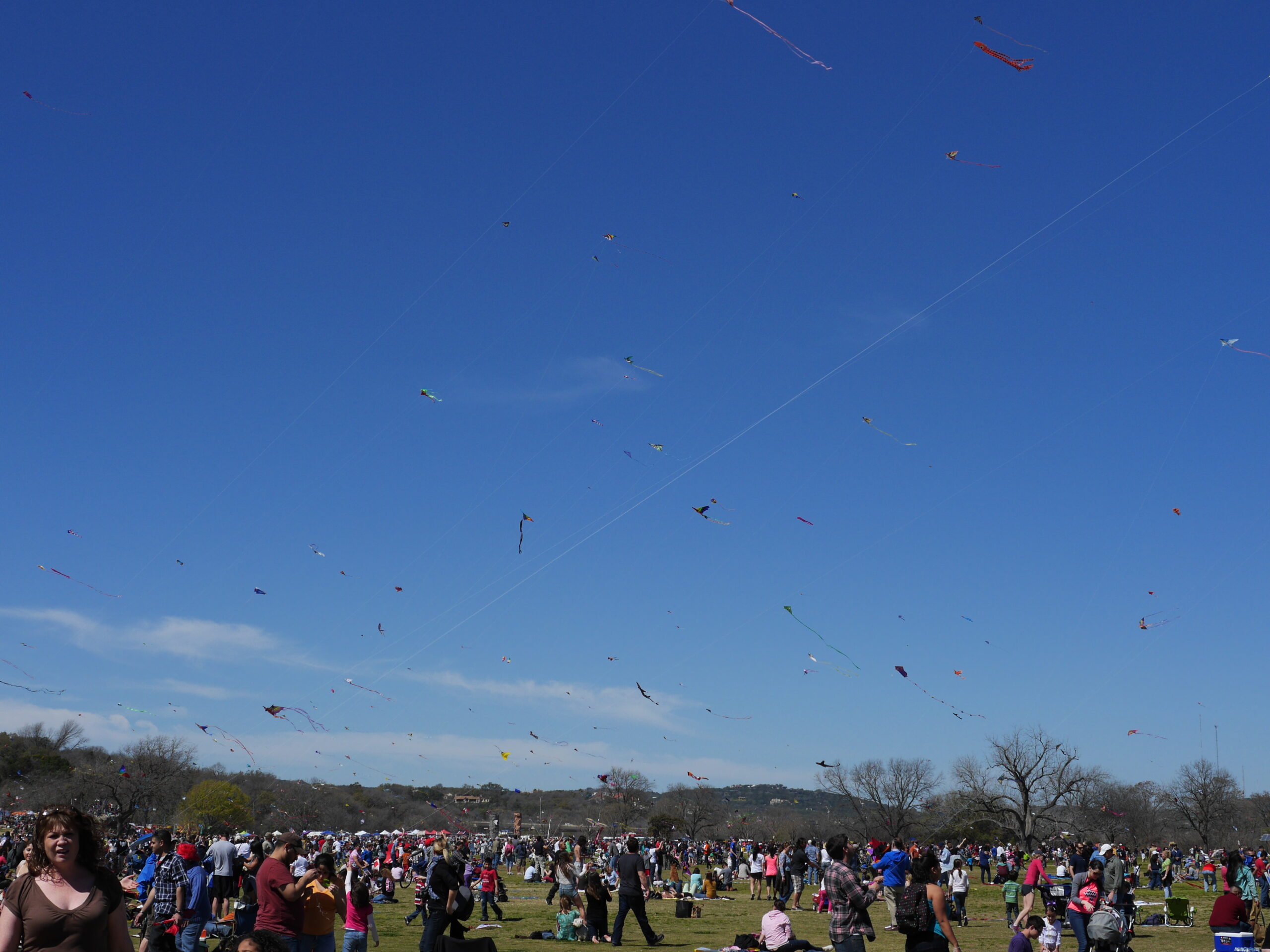 A Kite or a Thousand Kites