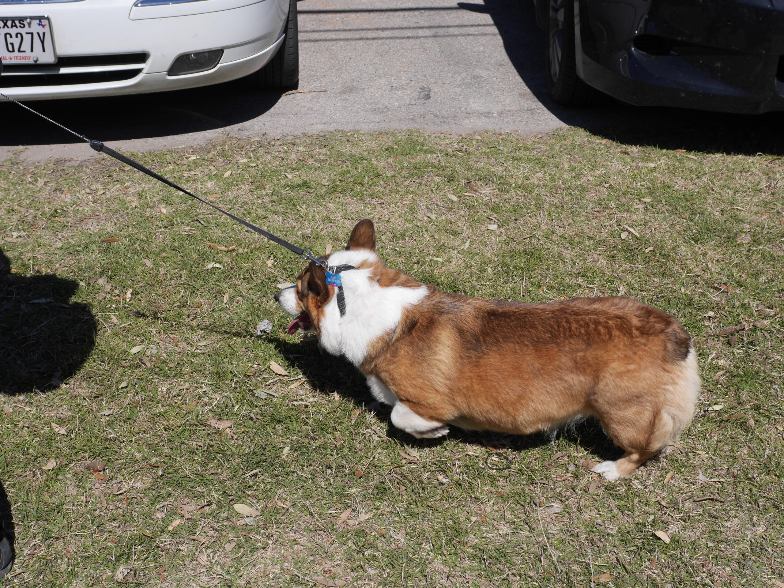 Carl Rolls at our Pace