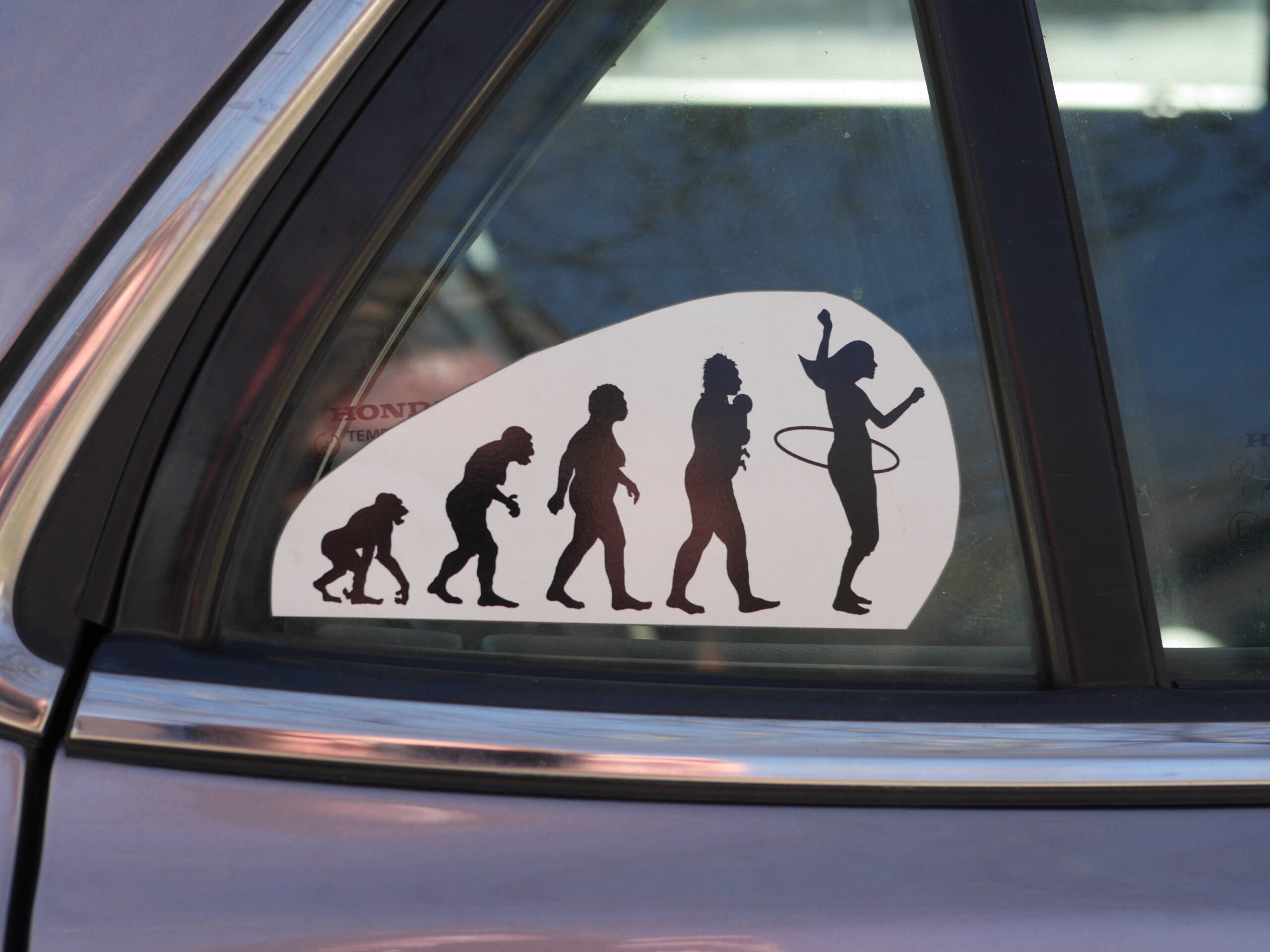 Evolution; Thank you!