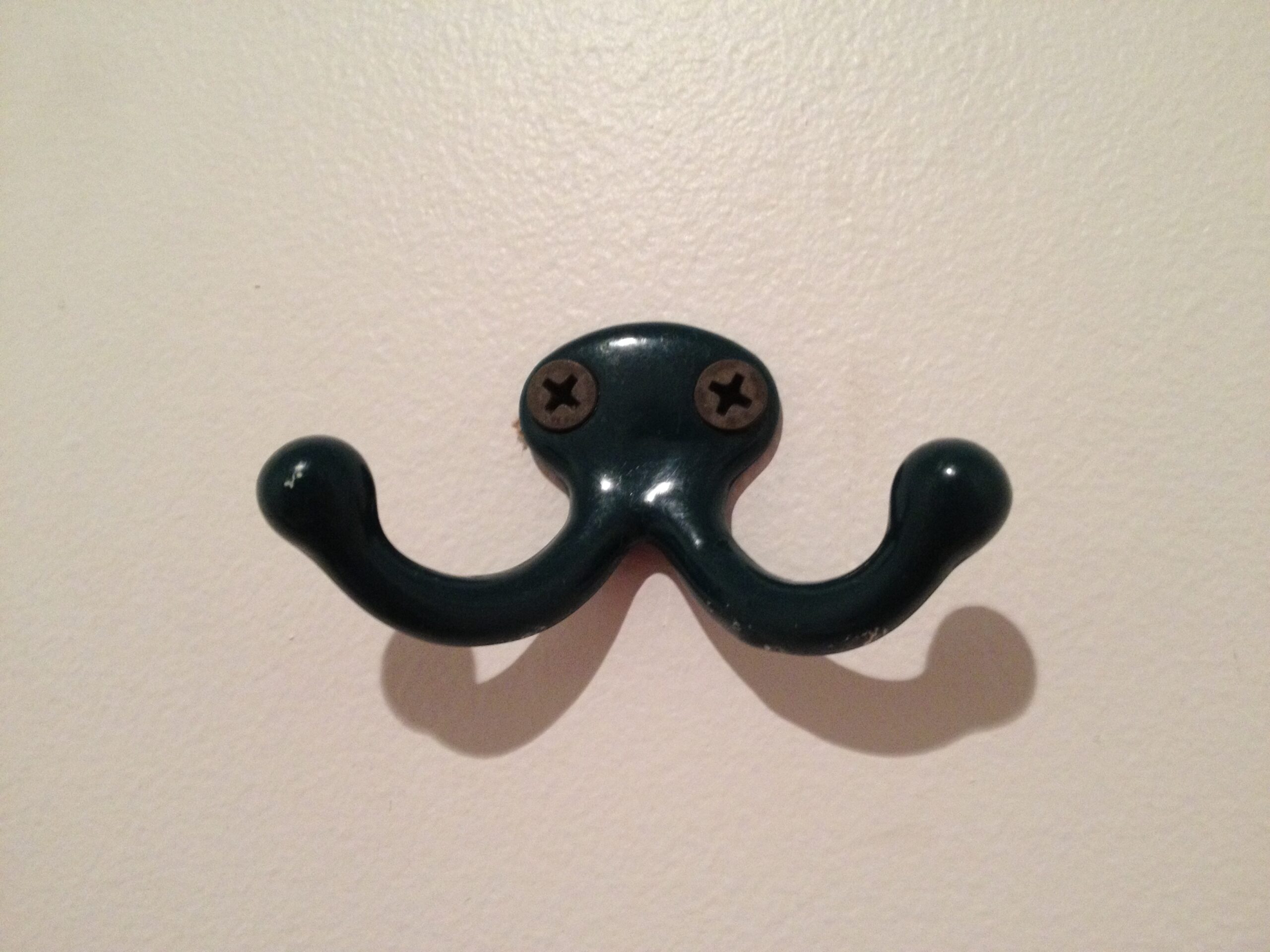 Sober, Green Octopus