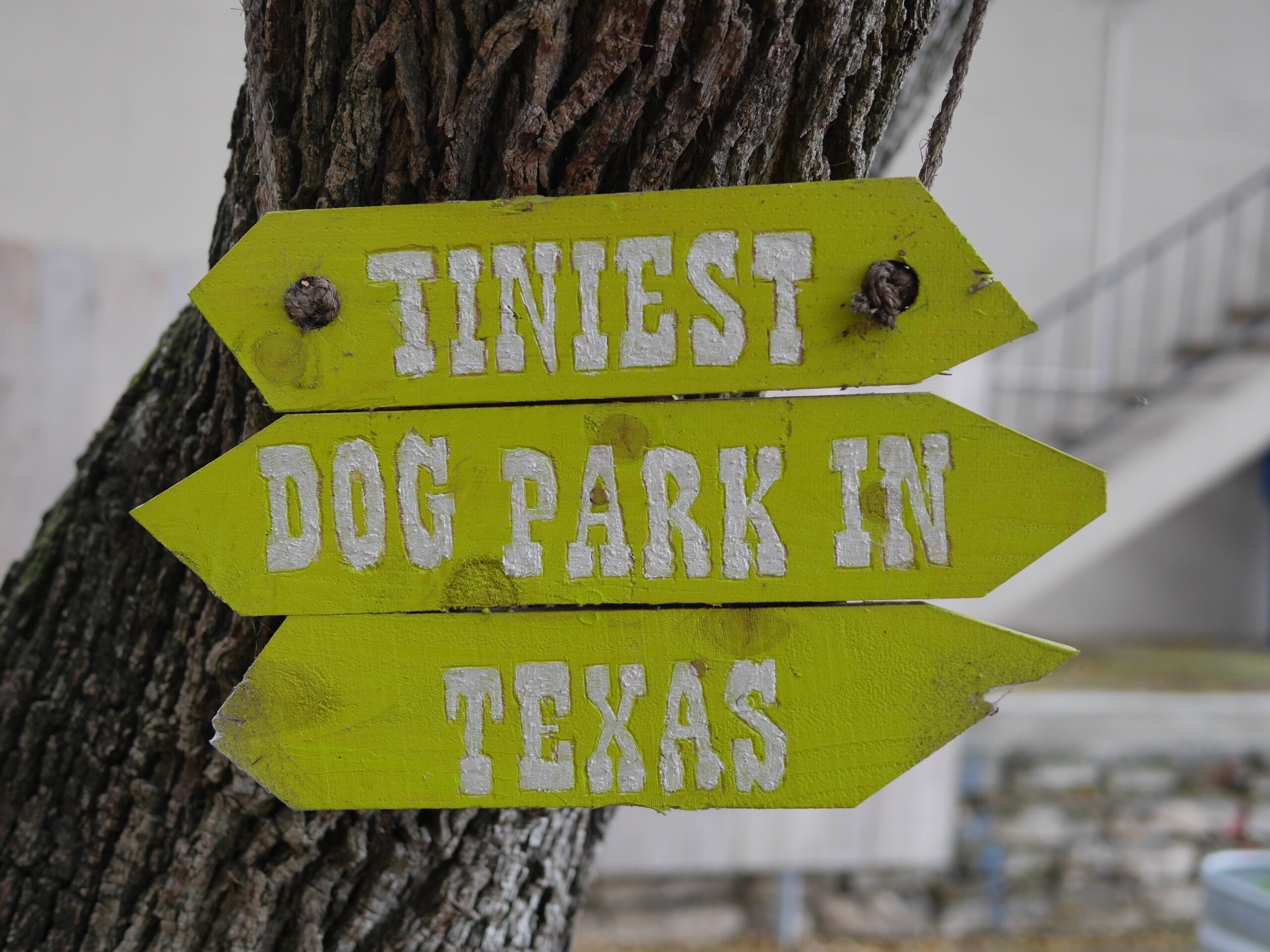 Tiniest Dog Park in Texas