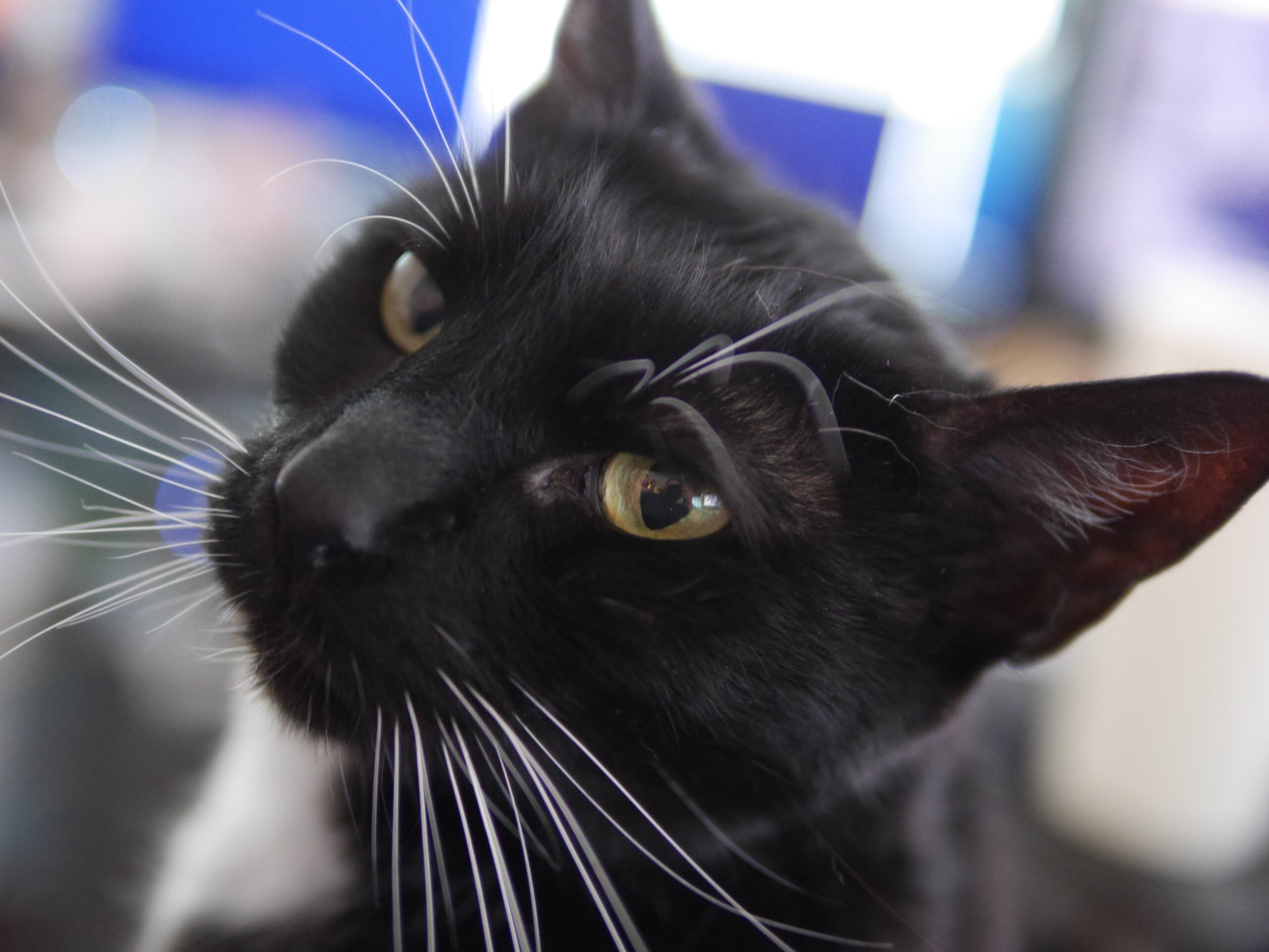 The Brains Behind the Operation