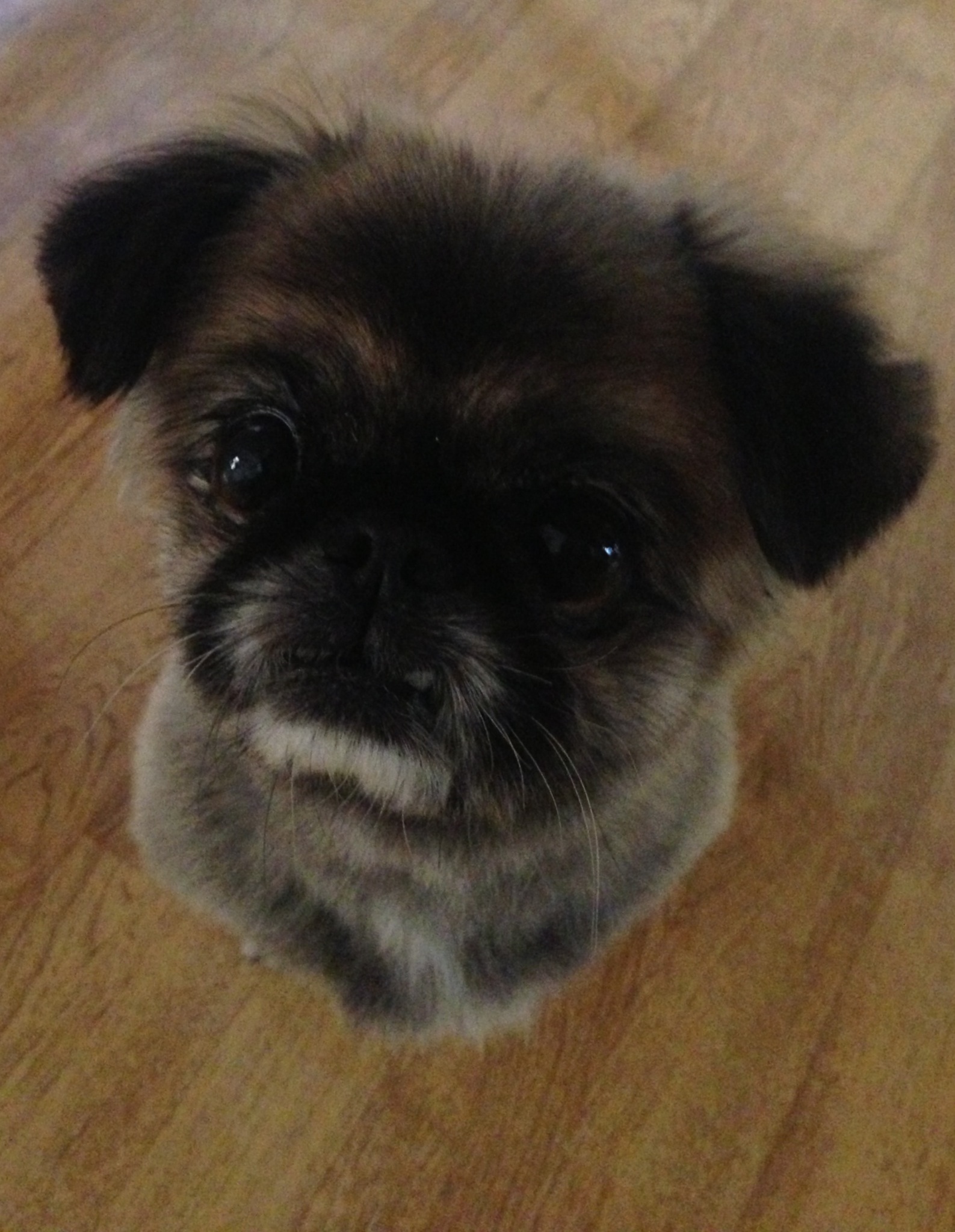 Ugly Enough To Be Cute