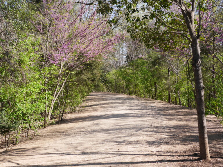Red Bud Isle Path