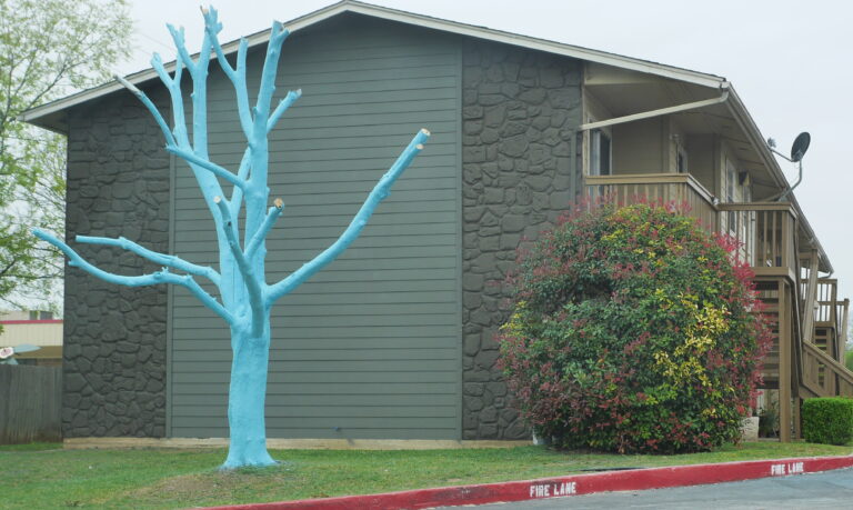 Blue Tree