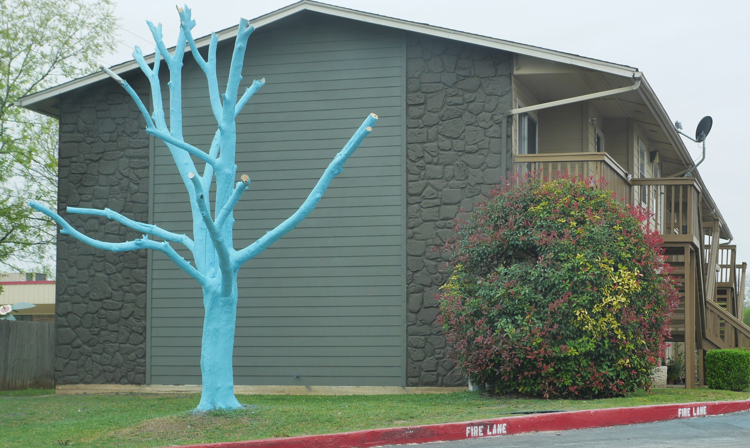 Blue Tree