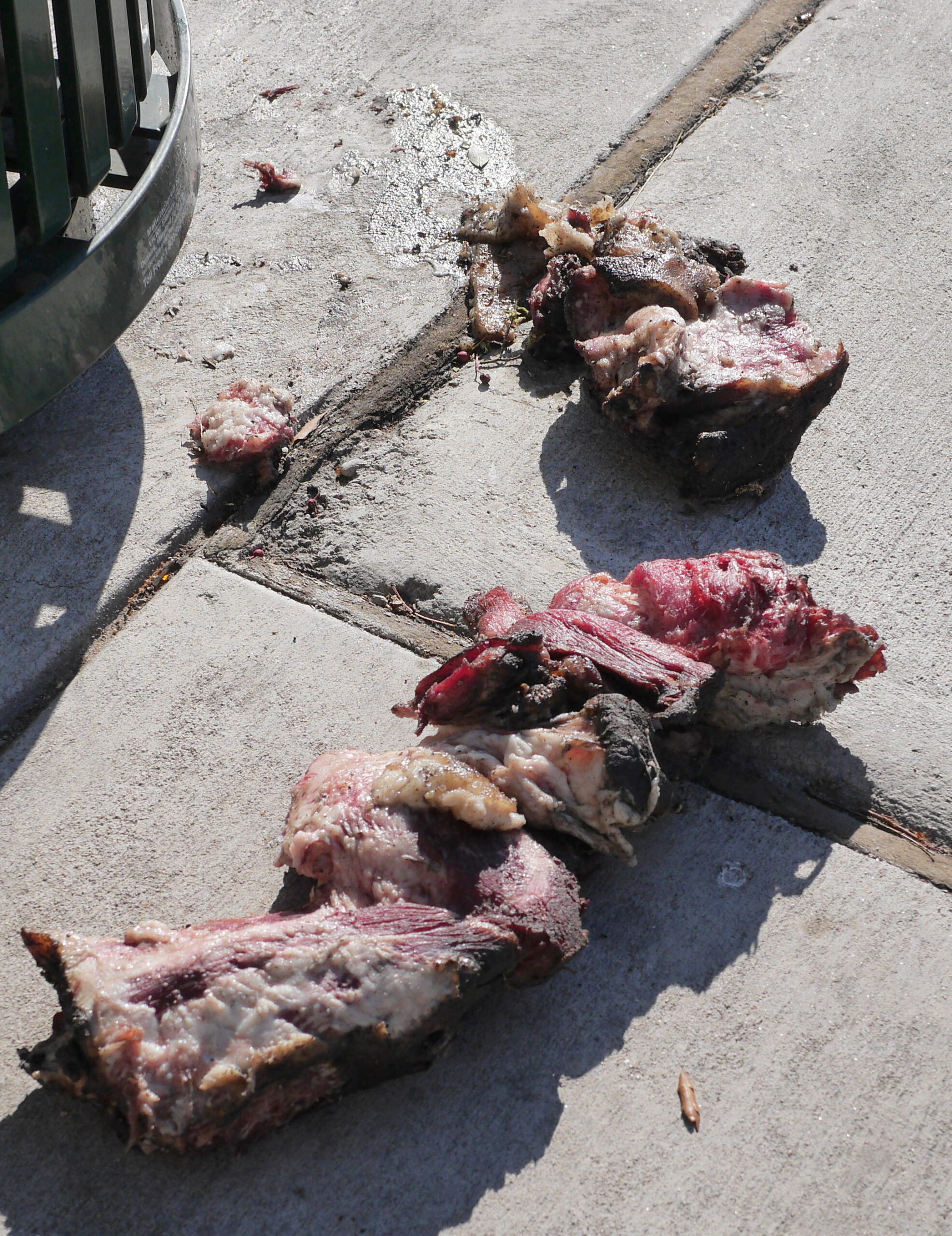 Just a Hunk of Meat on the Street