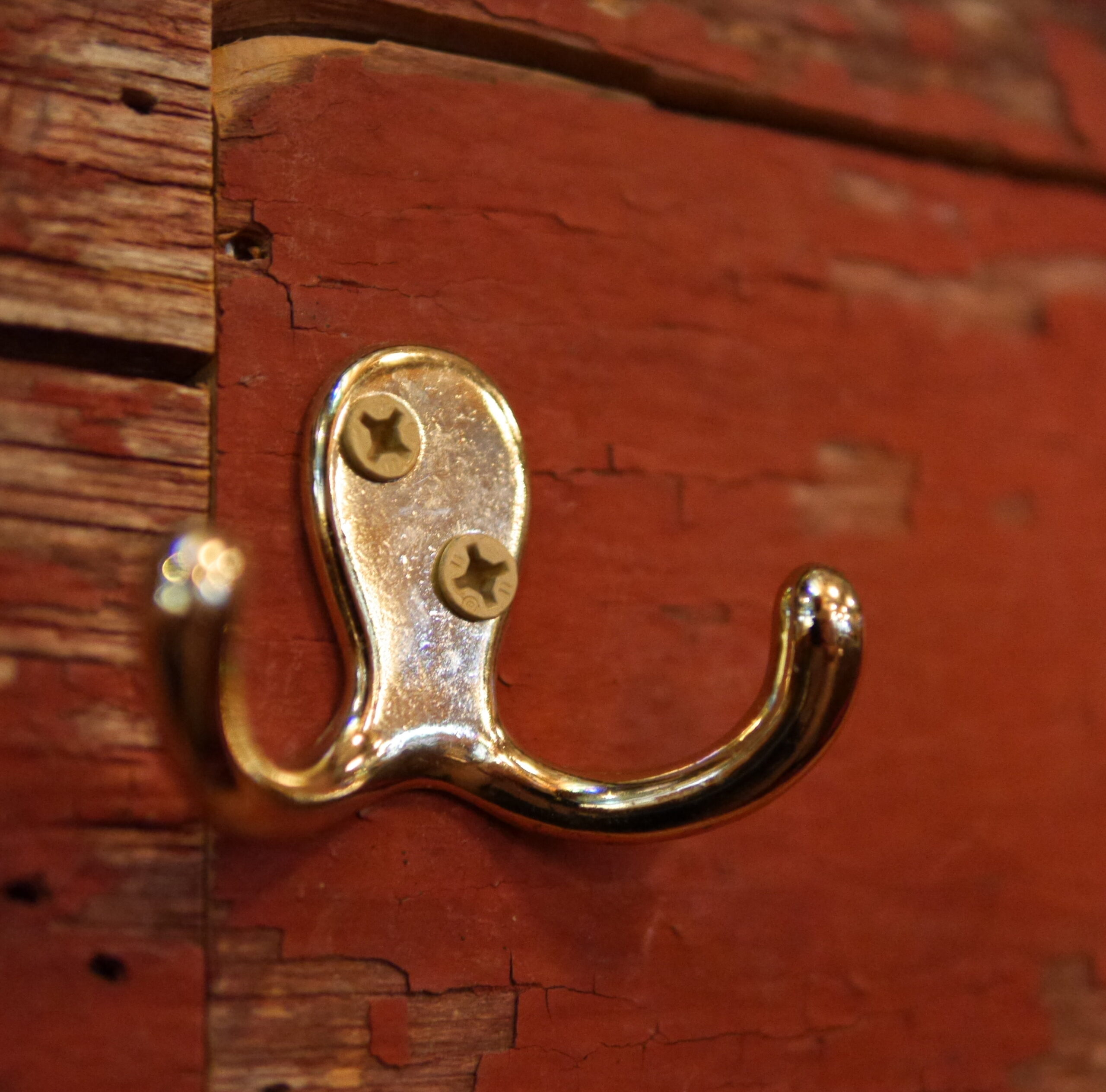 Super Drunk Octopus