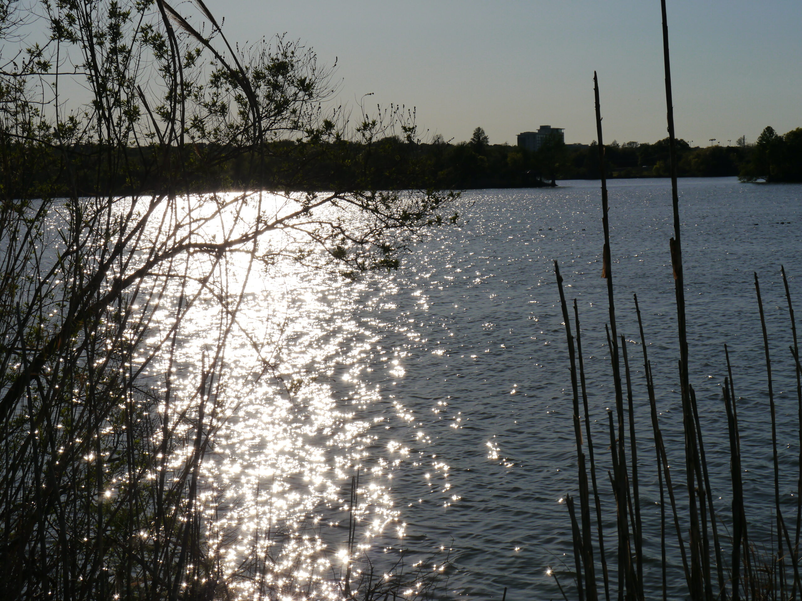 It Looks Like a Lake