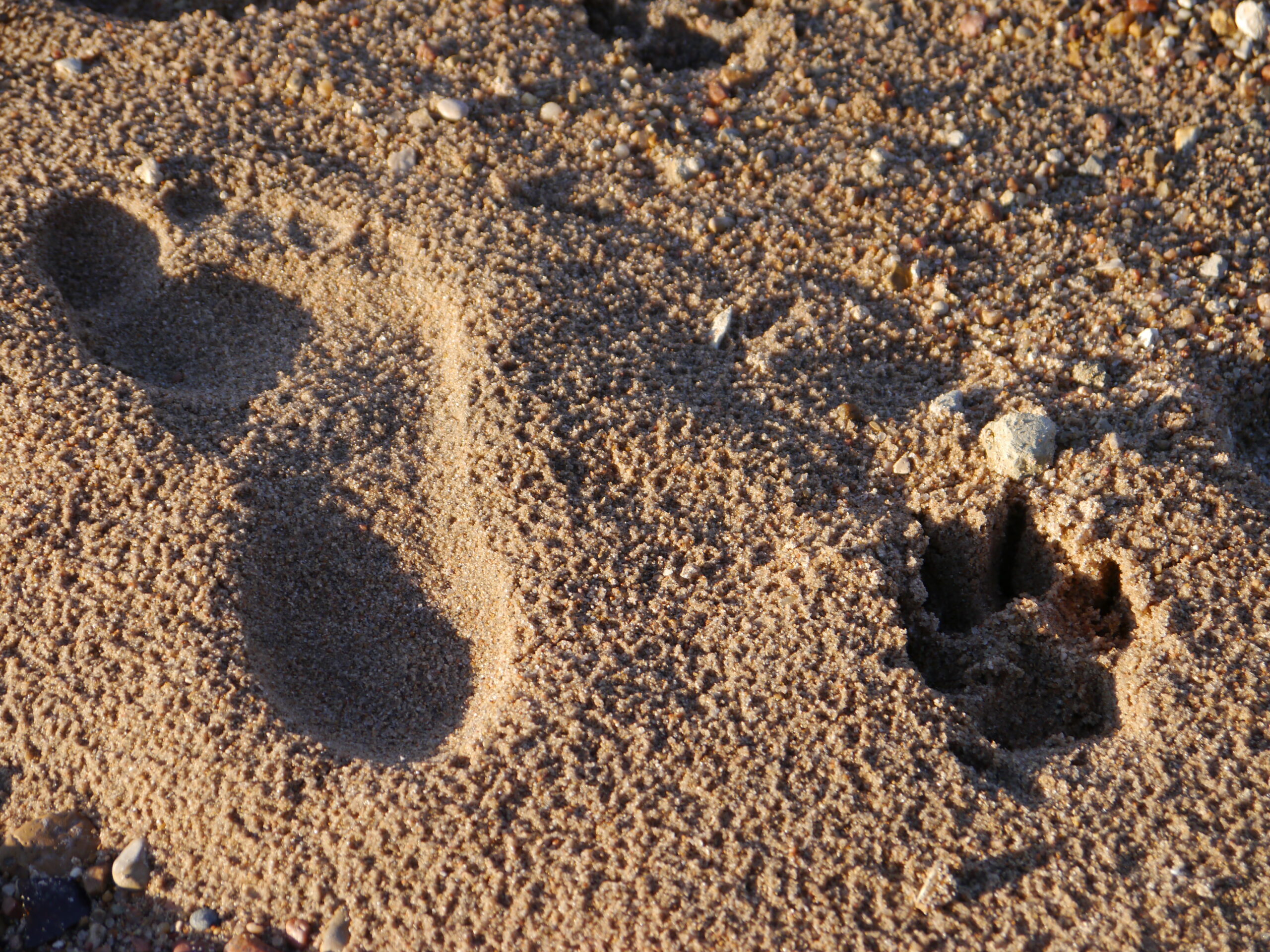 Footprints