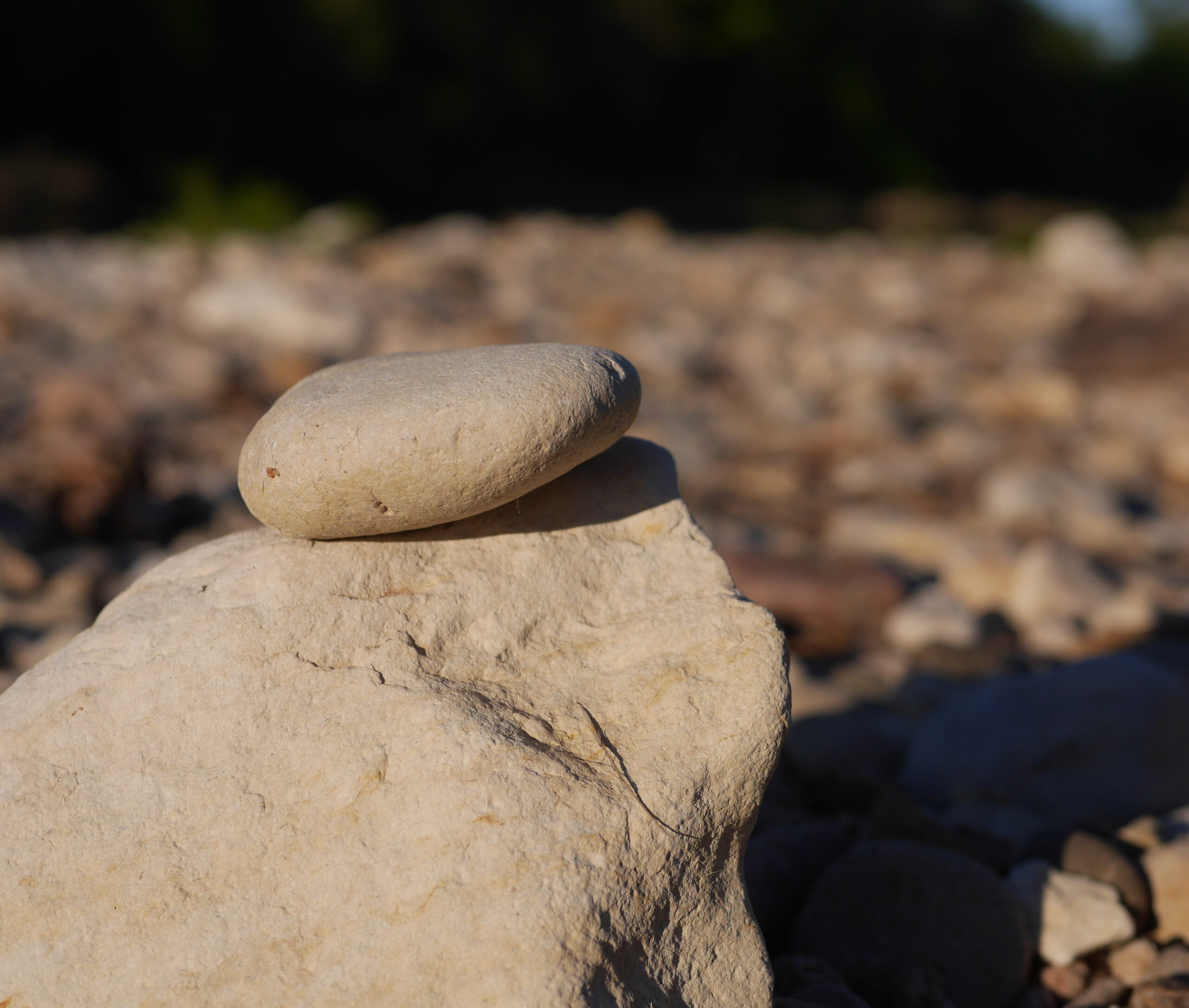 An Ape or a Chameleon