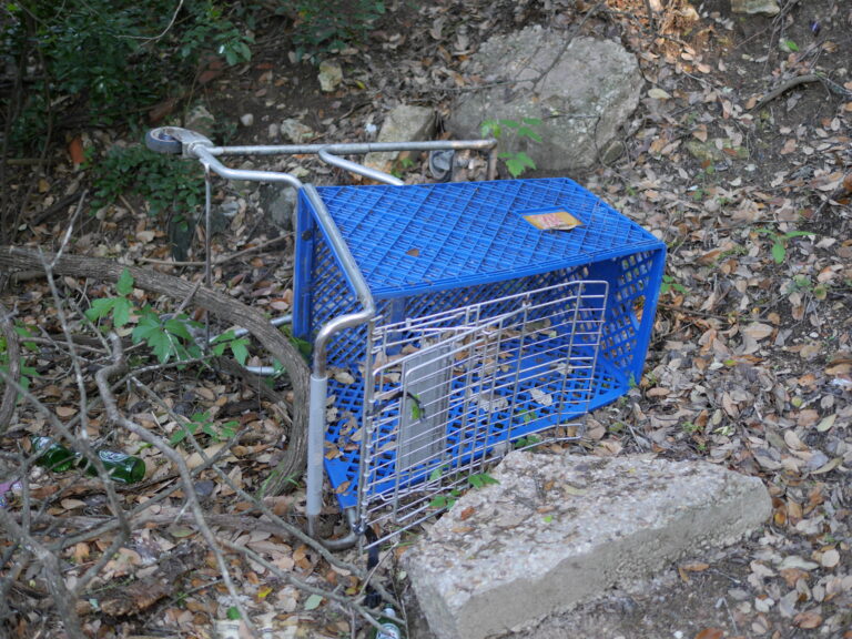 Shopping Cart Roll-Over