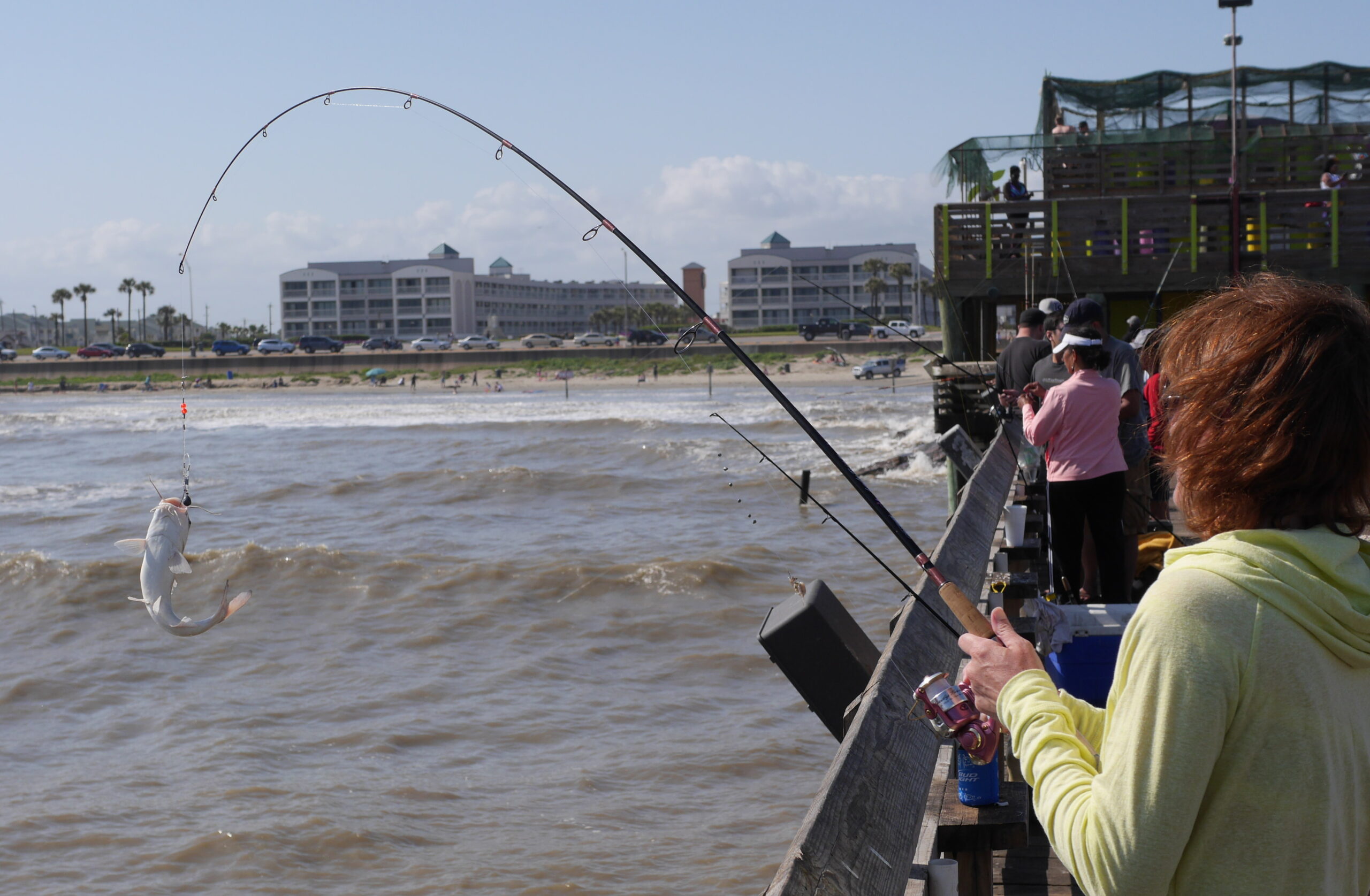 Lucky Stacy, Unlucky Catfish
