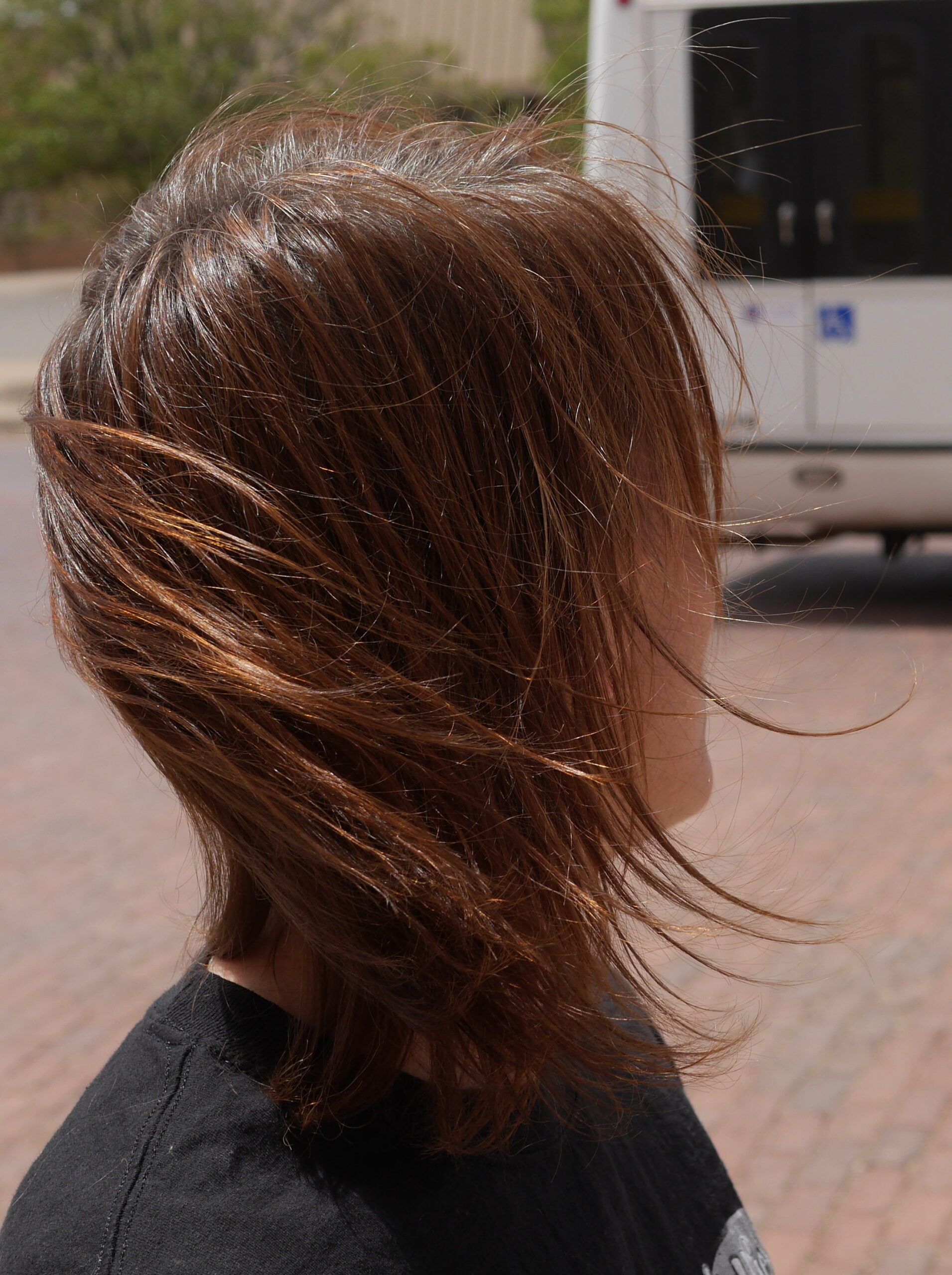 Everybody Feels the Wind Blow