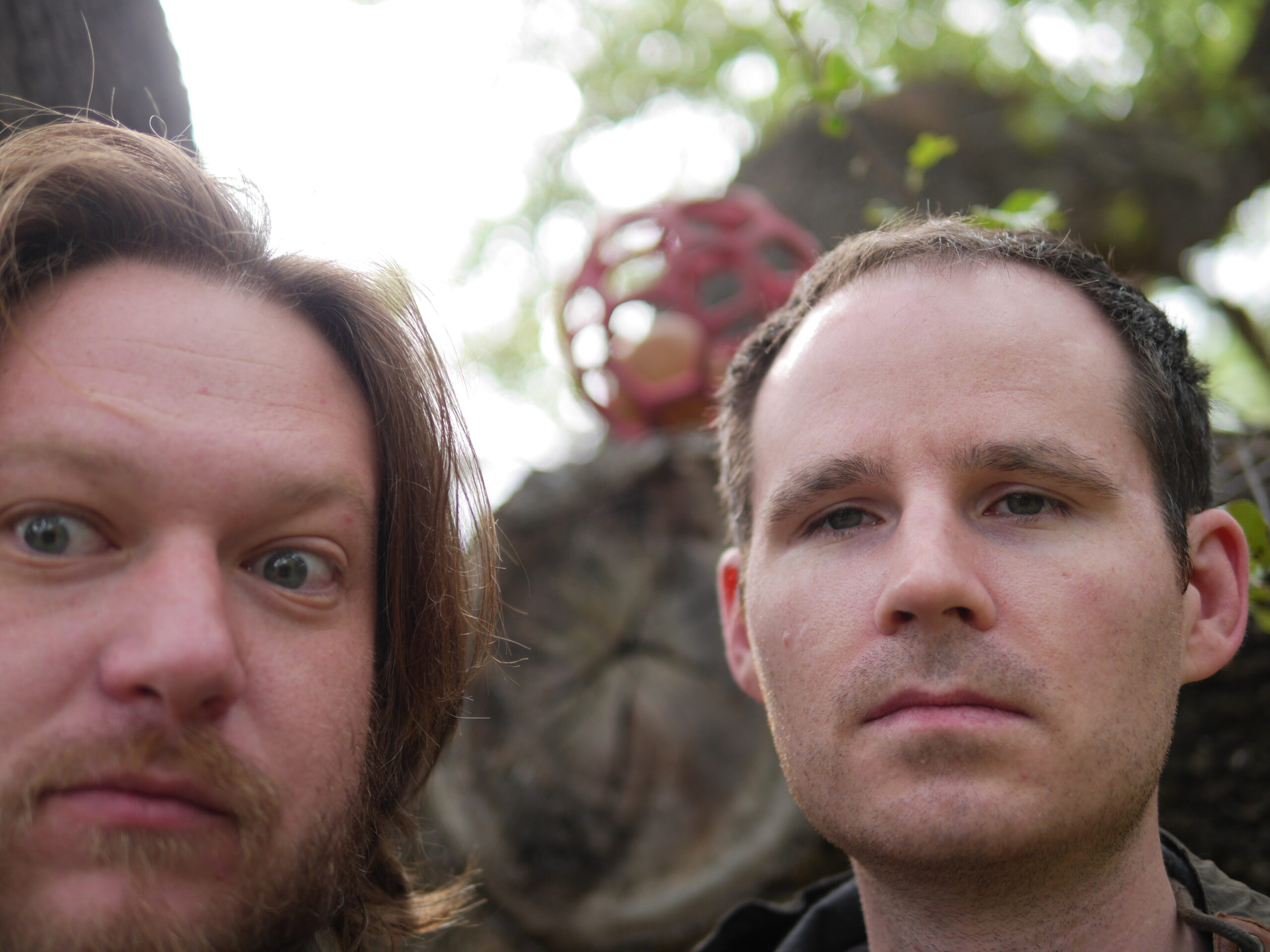 The Geoball is in the Tree