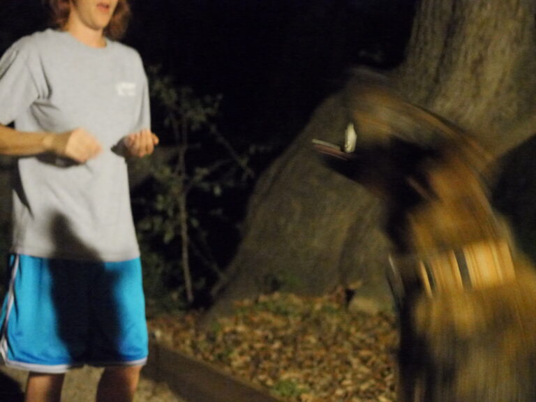 The Great Popcorn Ingestion