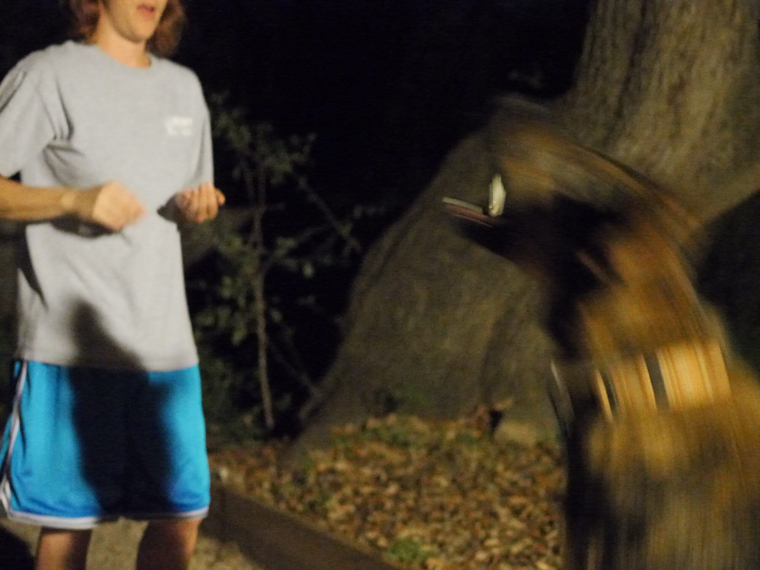 The Great Popcorn Ingestion