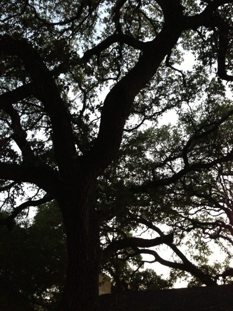 Beautiful Sunday Morning