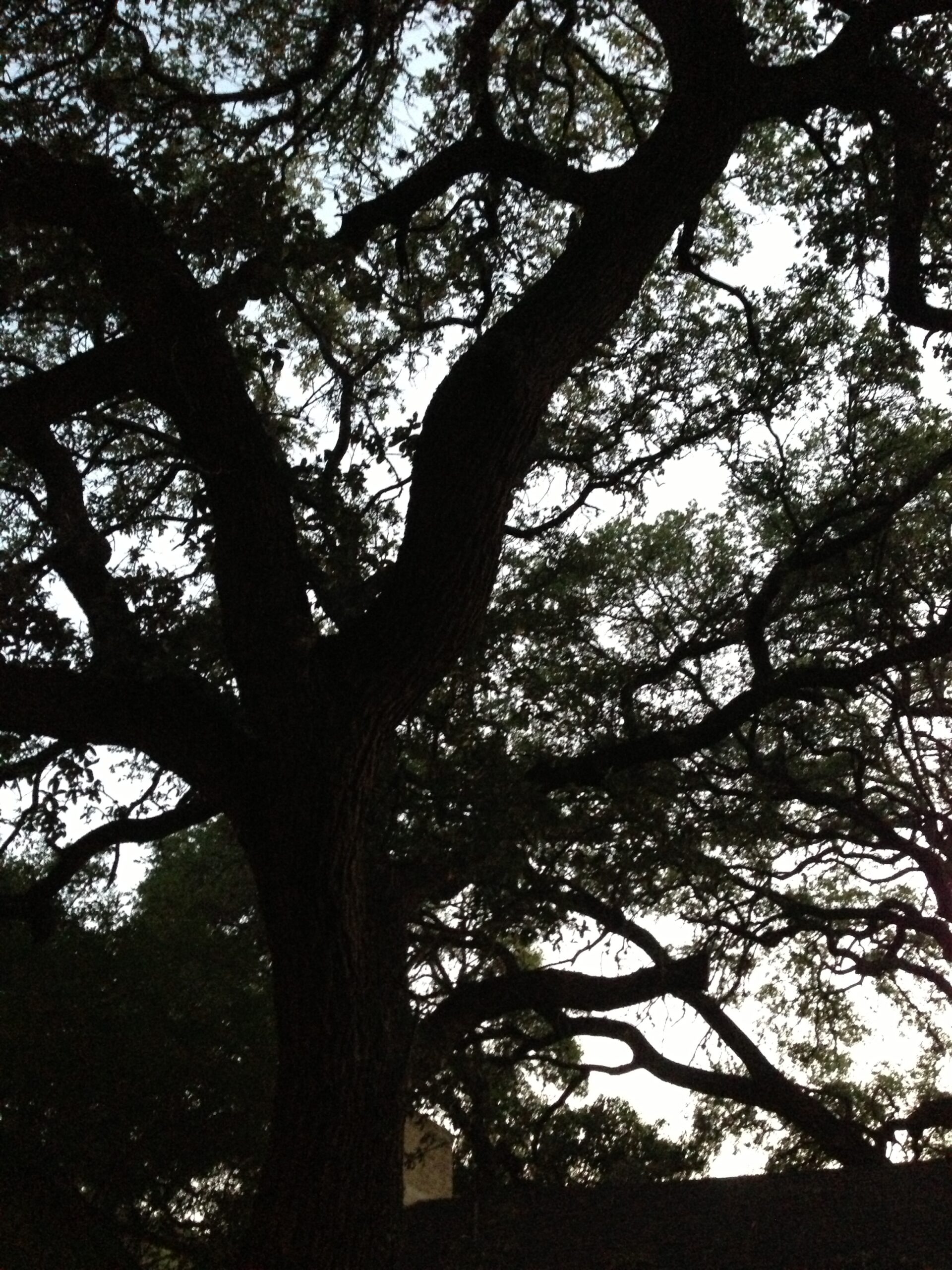 Beautiful Sunday Morning