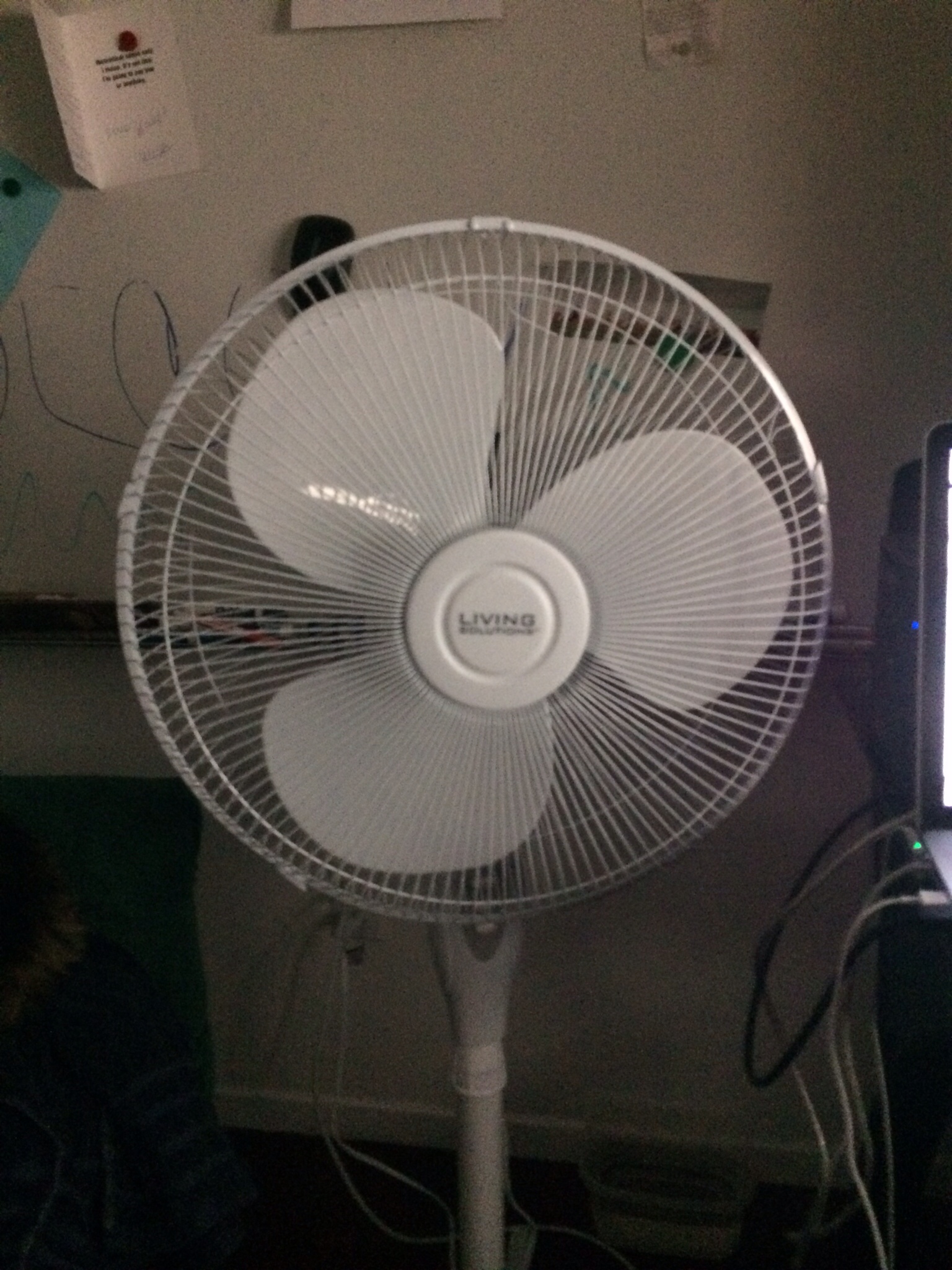 My Number One Fan