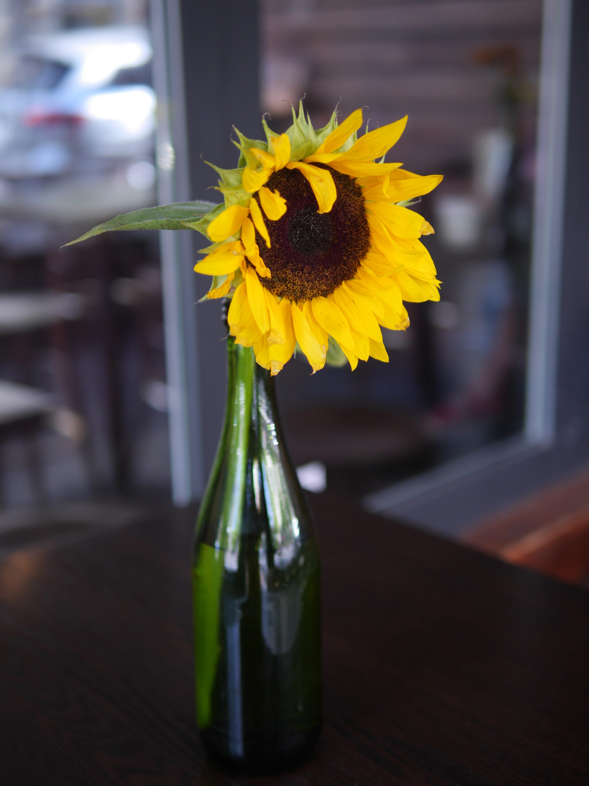 Something Sunny Anywhere you Look