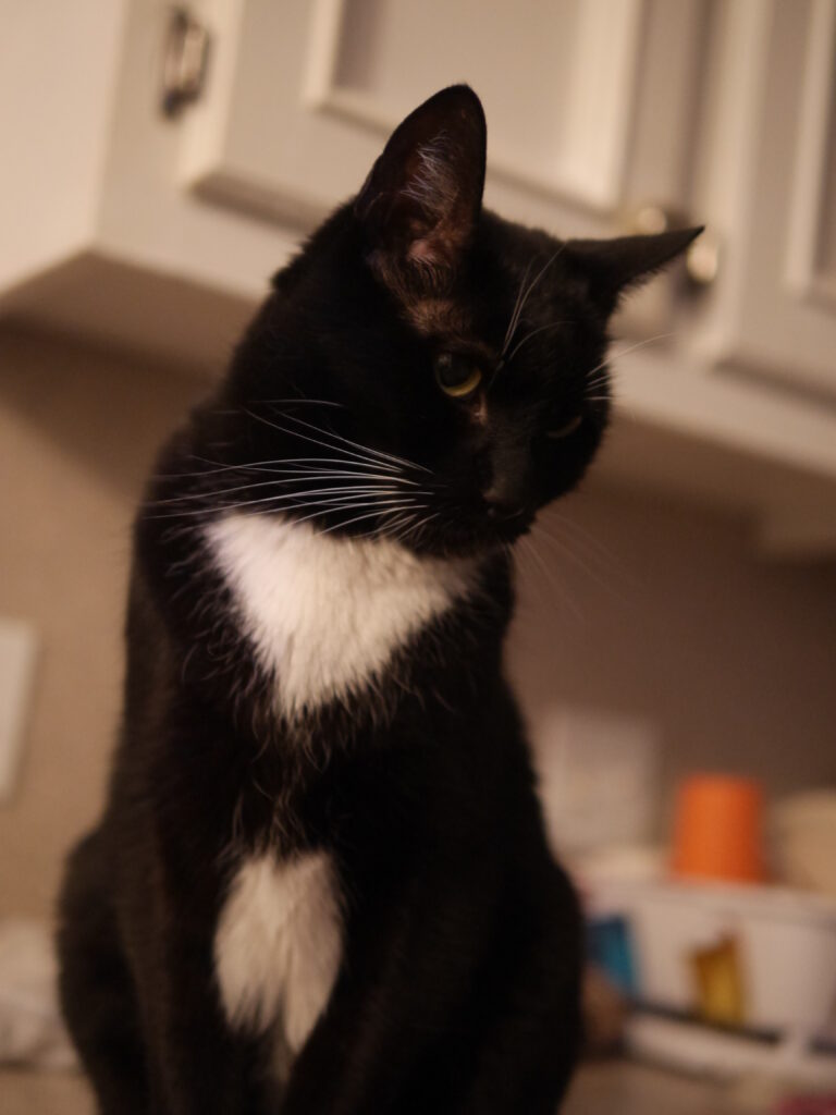 Still Perfect After All These Years