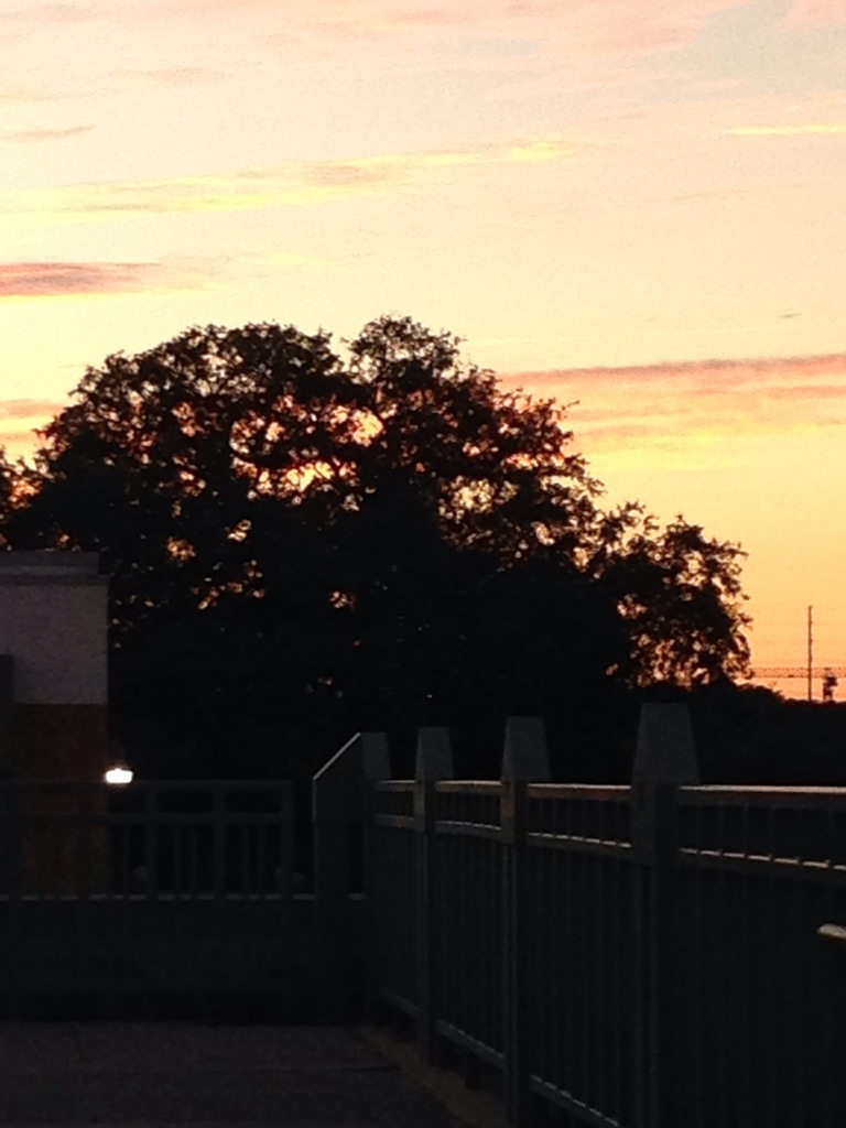 Wednesday Night at Work