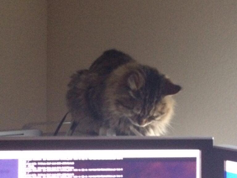 The Crushing Boredom