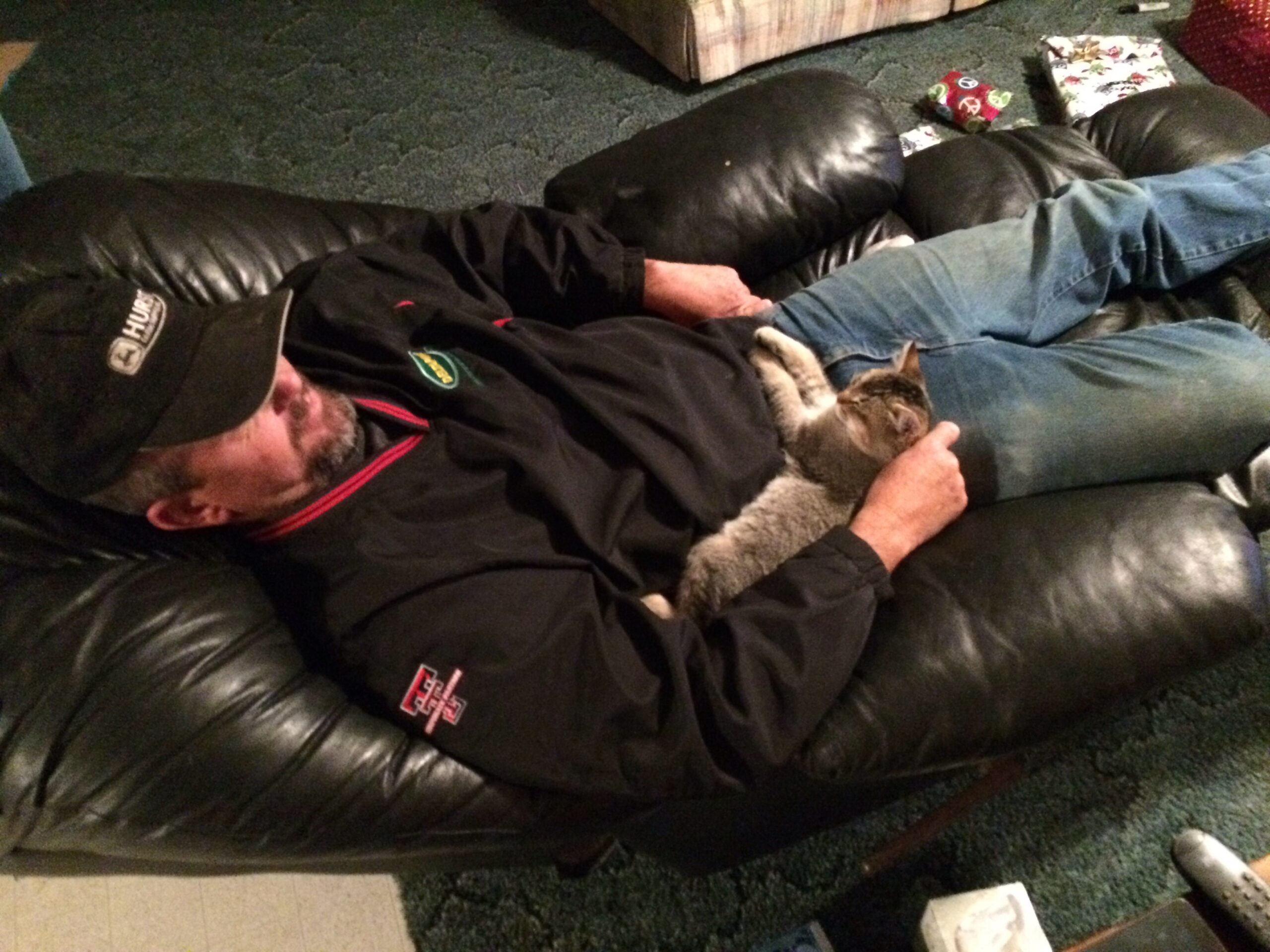 Clint & The Unnamed Cat