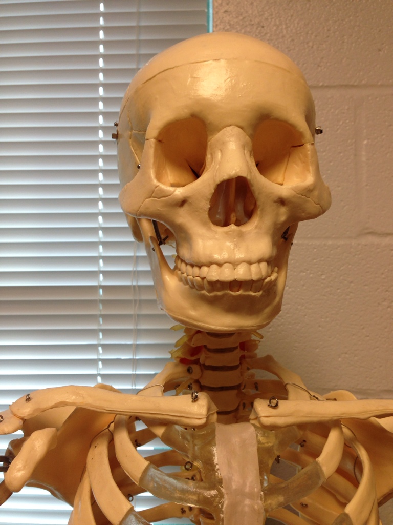 Just Another Day At Work