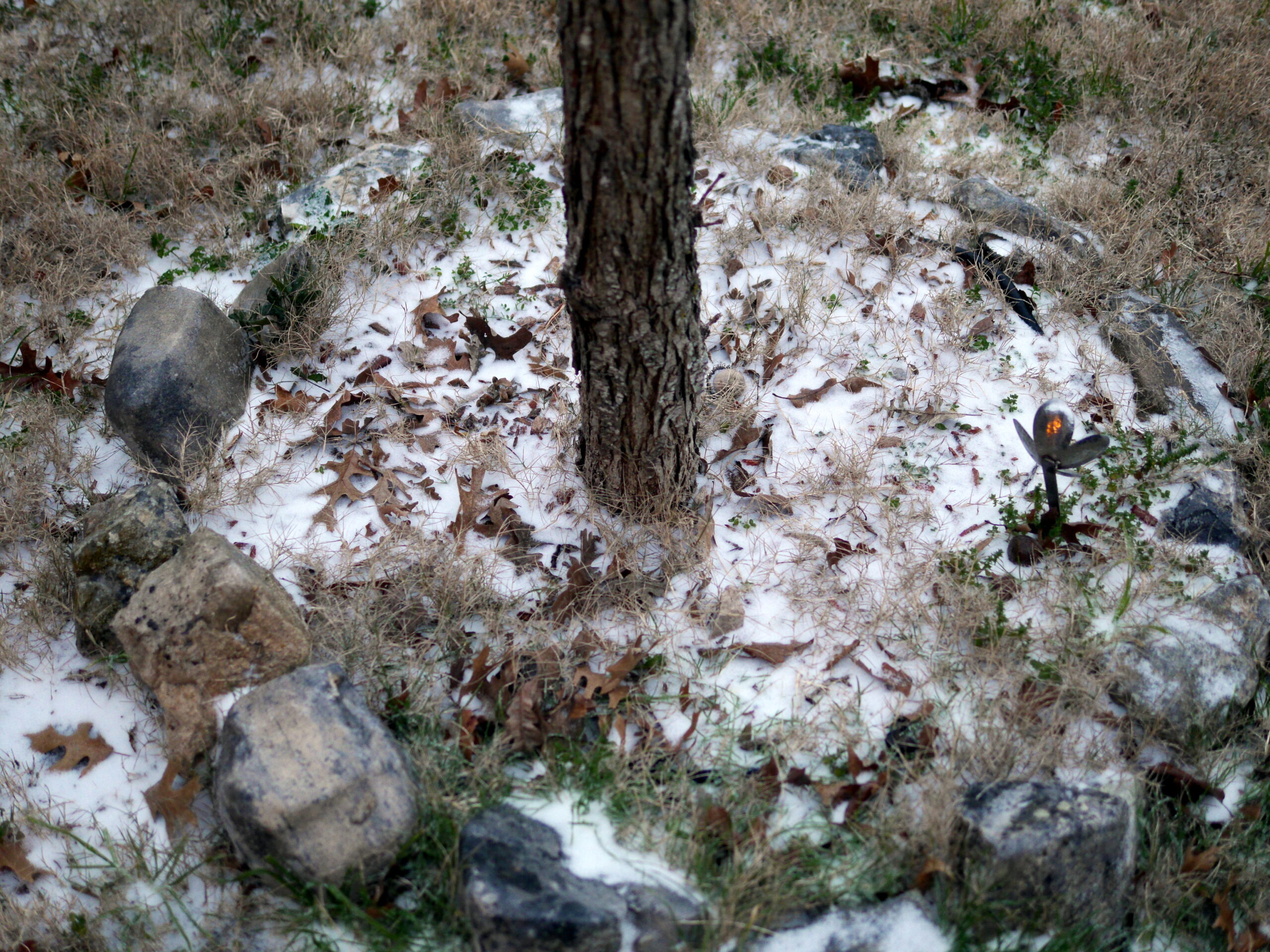 What Is This White Stuff?