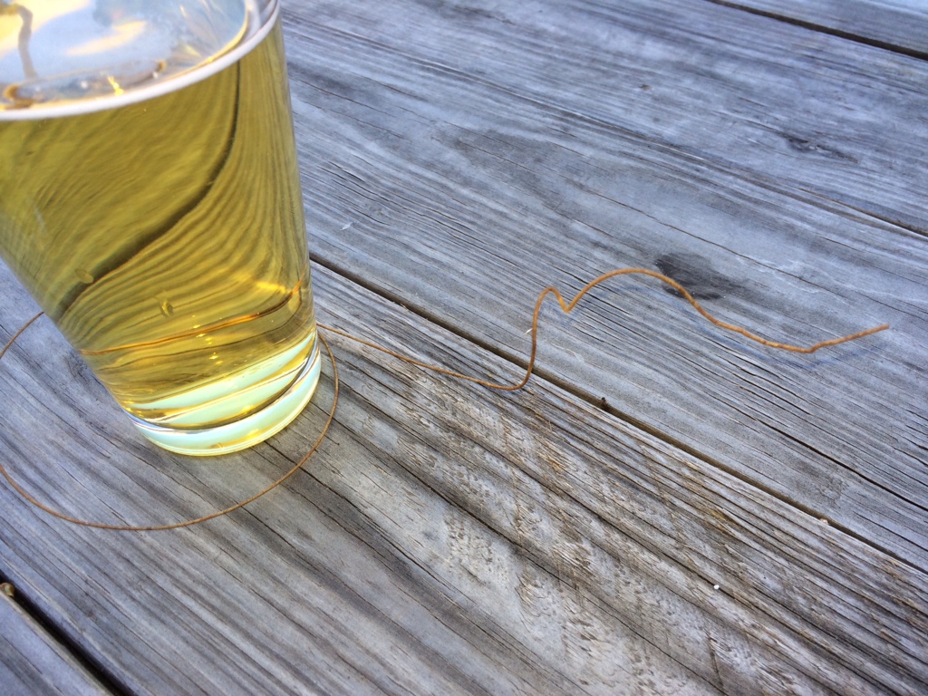 Guitar Rusted String