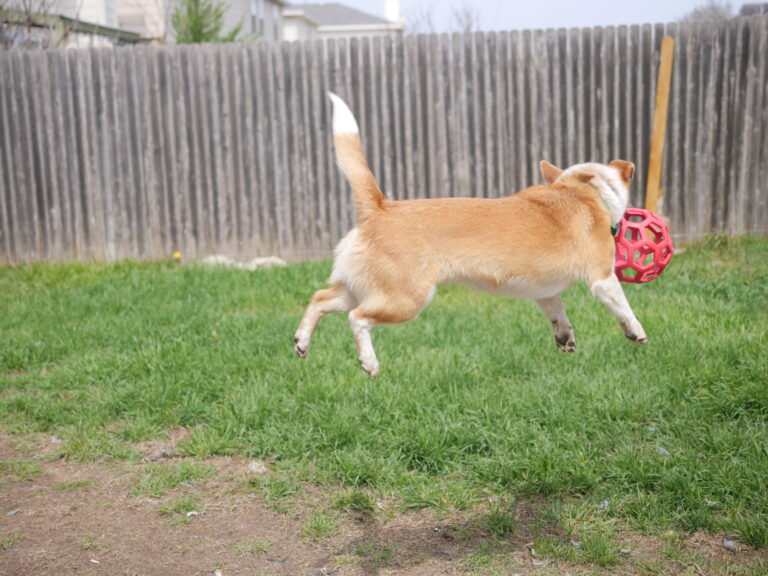 There’s a Freeway Runnin’ Through the Yard