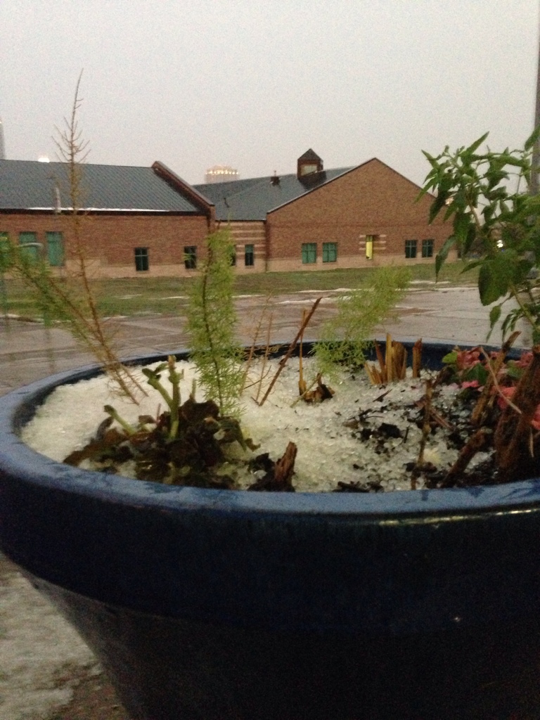 April Showers Bring…Hail