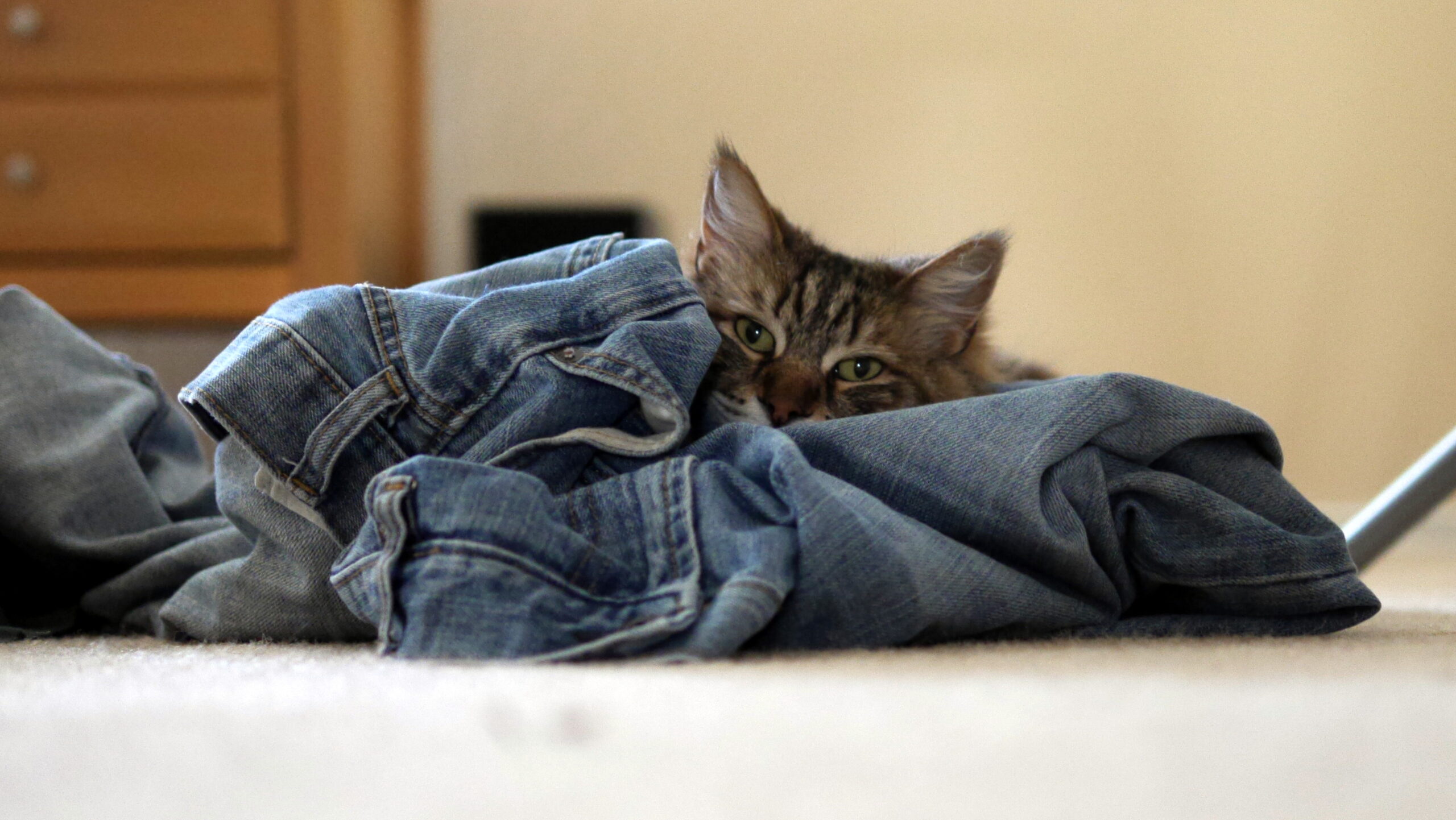 Tomorrow is National Grilled Cheese Day