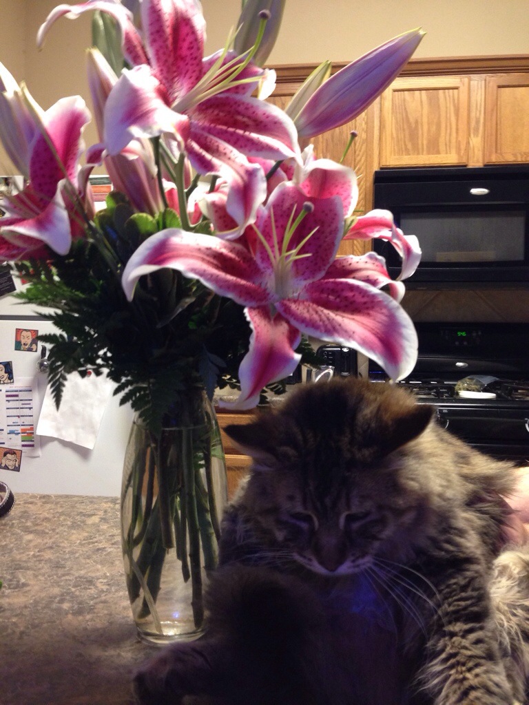Eddie Loves Flowers