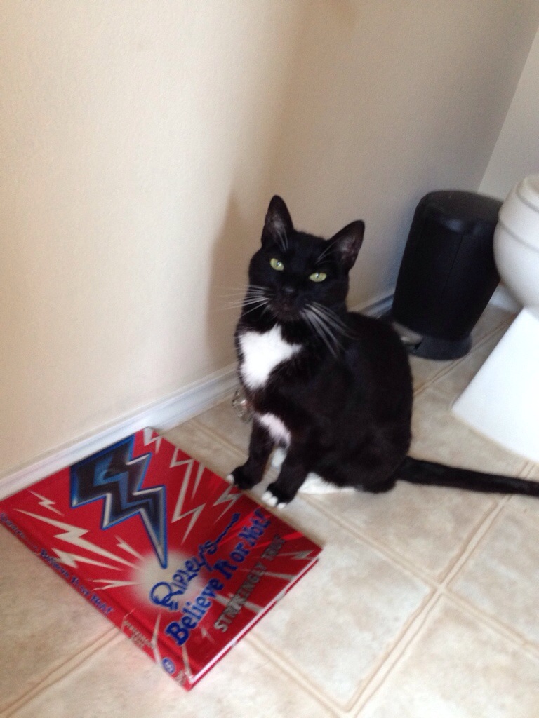 Ripleys Believe It or Bob