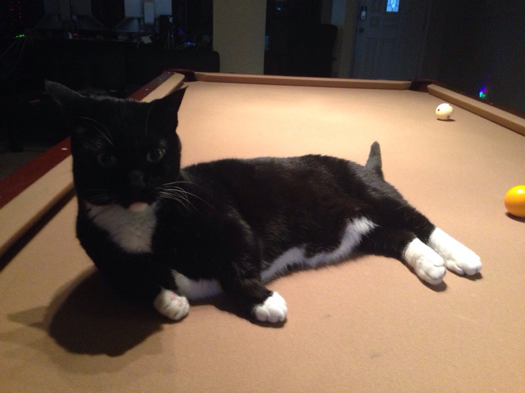 Inappropriate Use of Pool Table