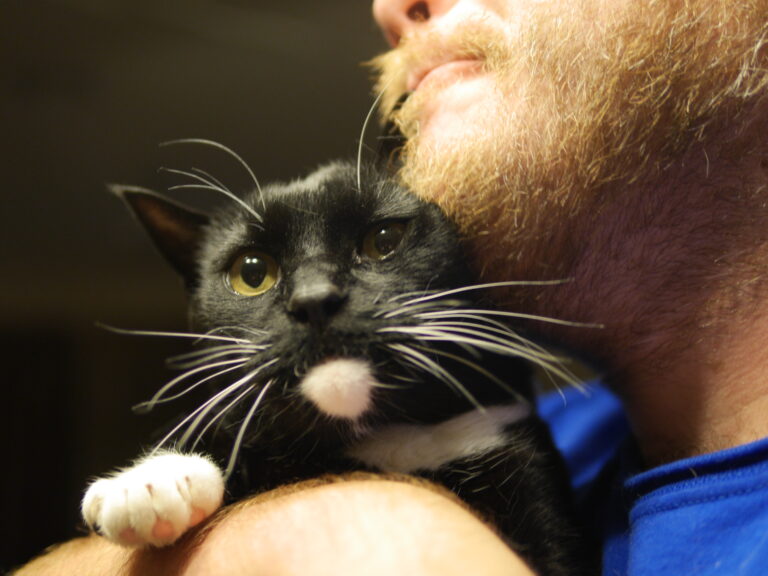 Beef #3 (We Need Groceries)