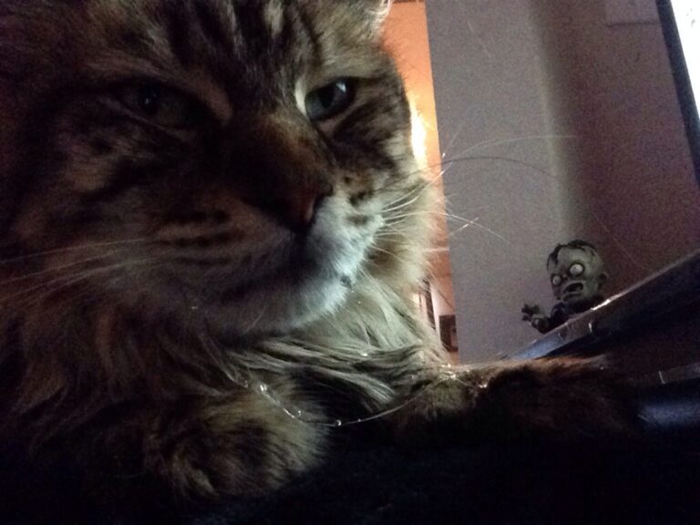 Eddie, Drool, & A Zombie