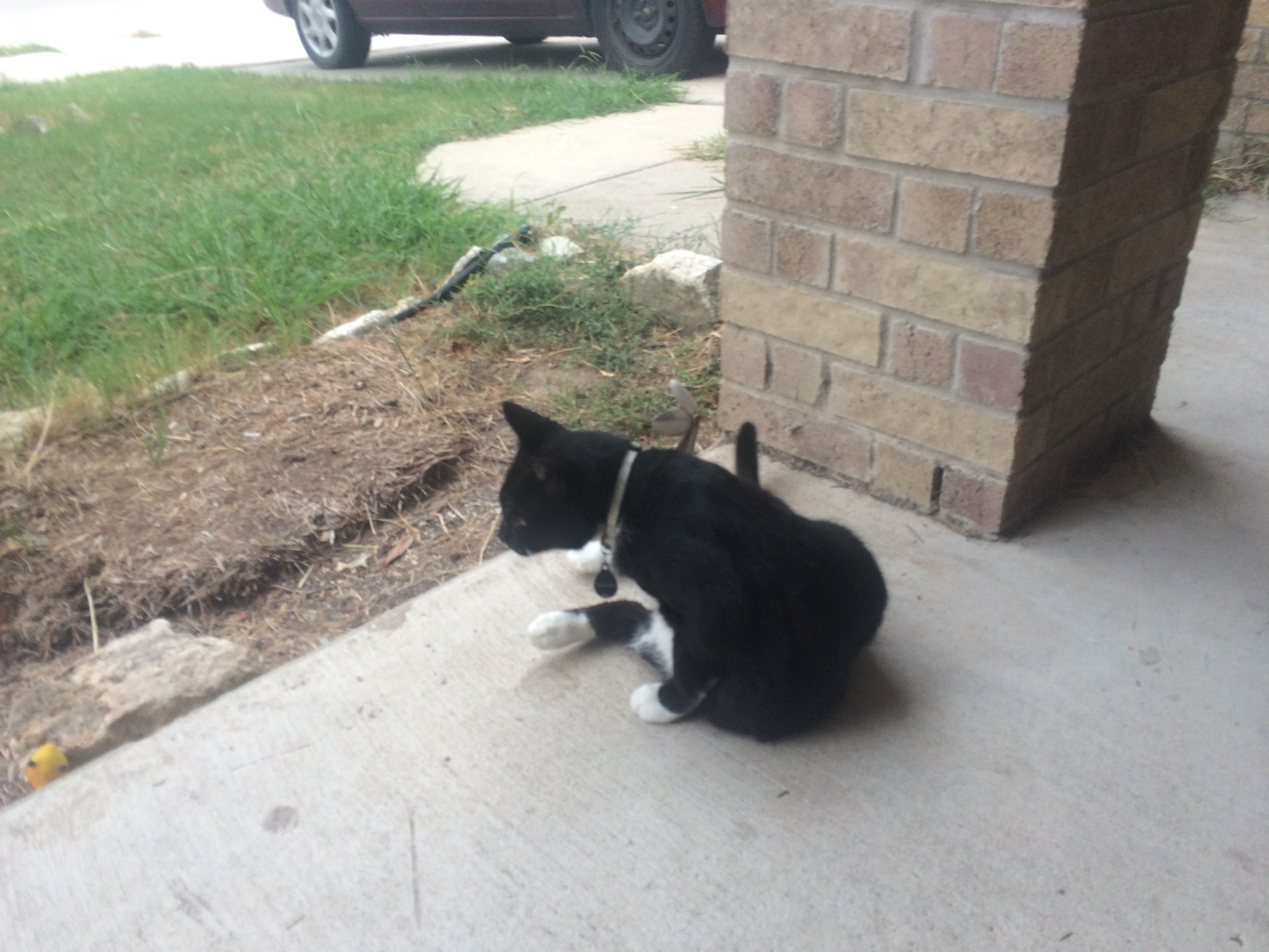 Outside Bob Being Outside