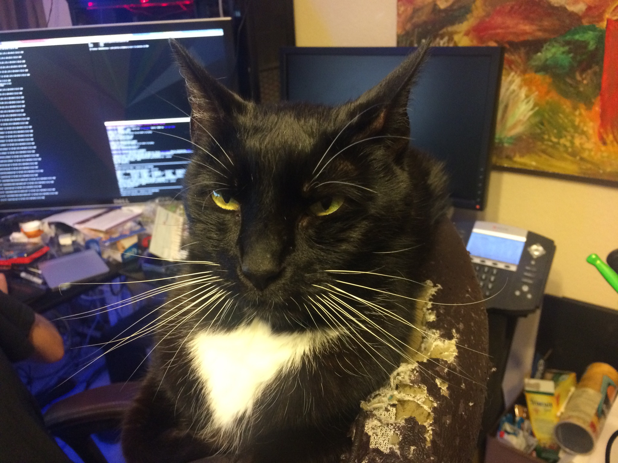 Couldn’t Play Fast, Couldn’t Fit In