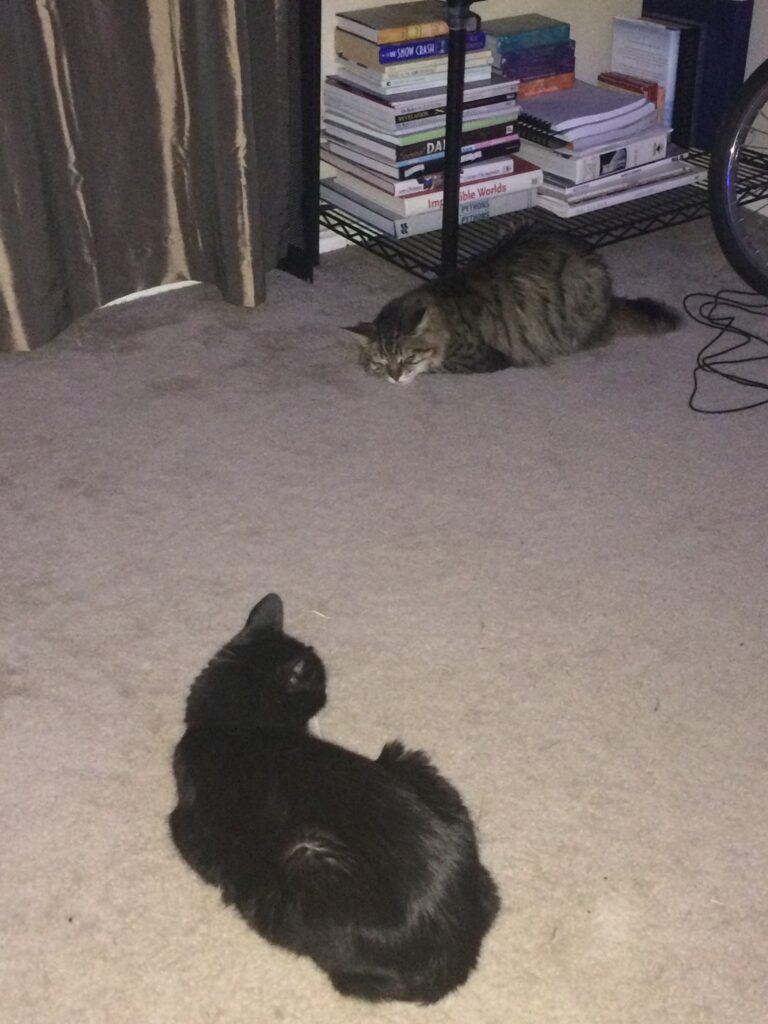 Sleeping Standoff