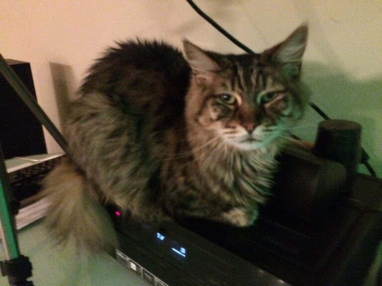 Nothing Will Stop Me