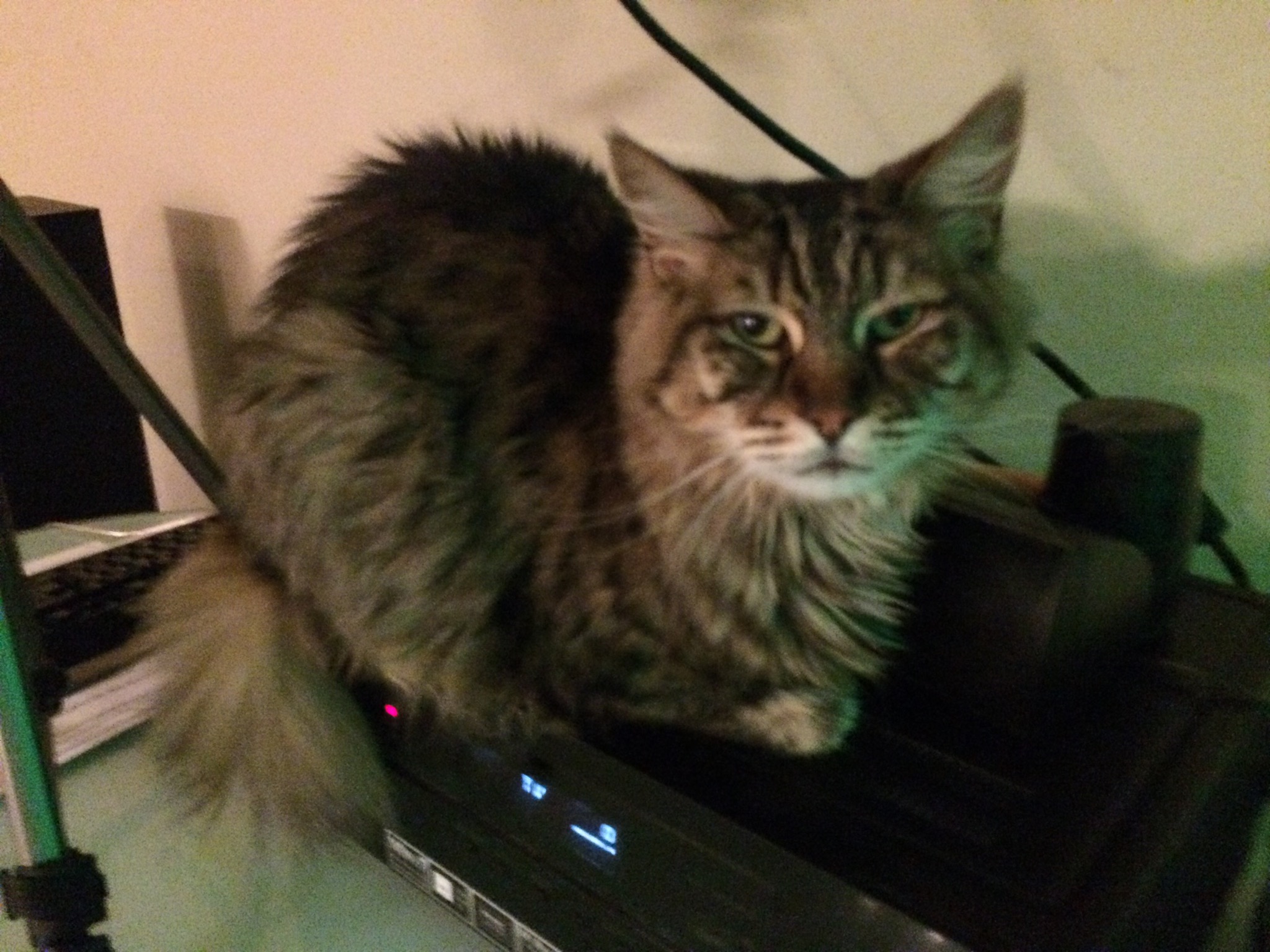 Nothing Will Stop Me