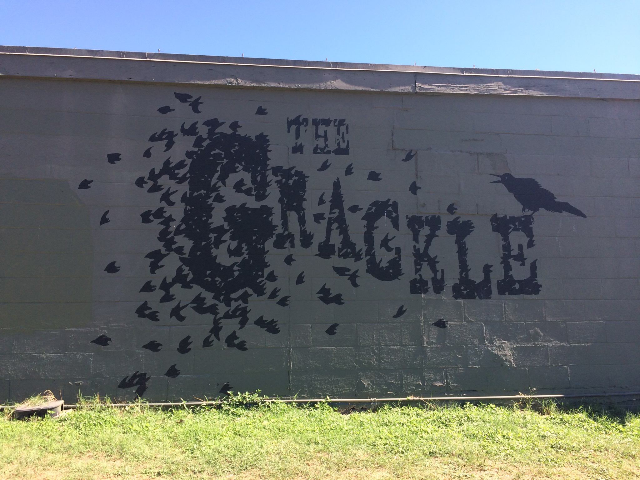 The Grackle