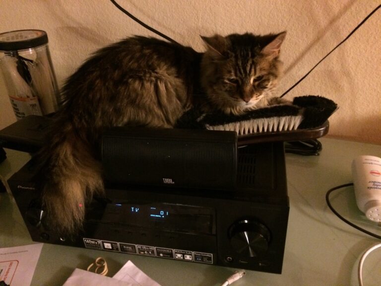 Why My Stereo Will Die Early