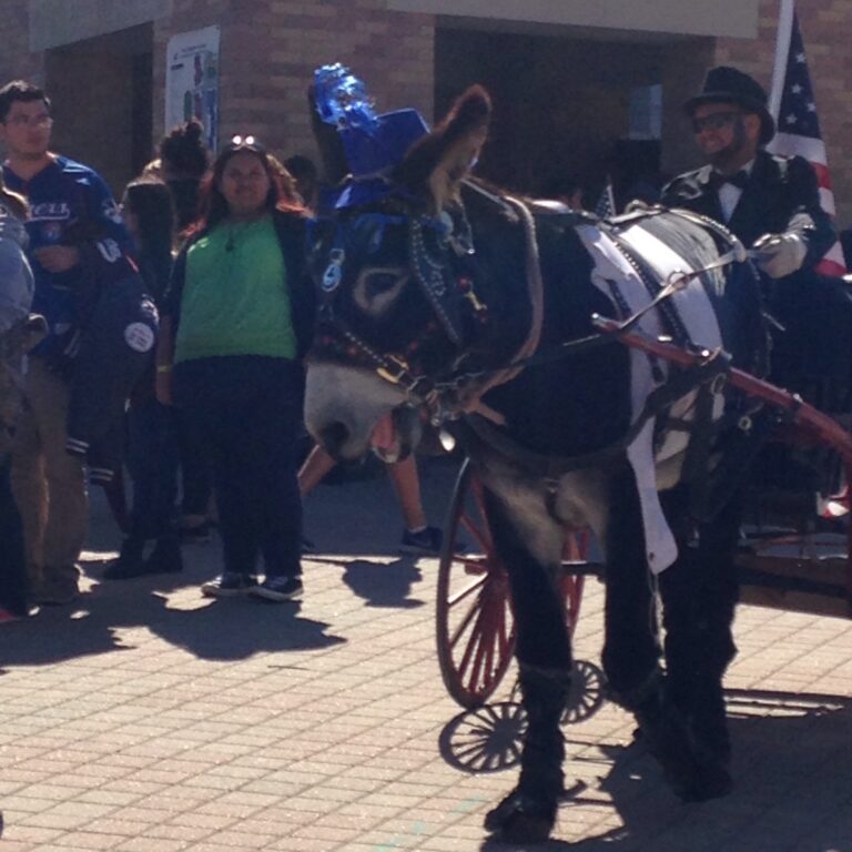 Donkey at Homecoming