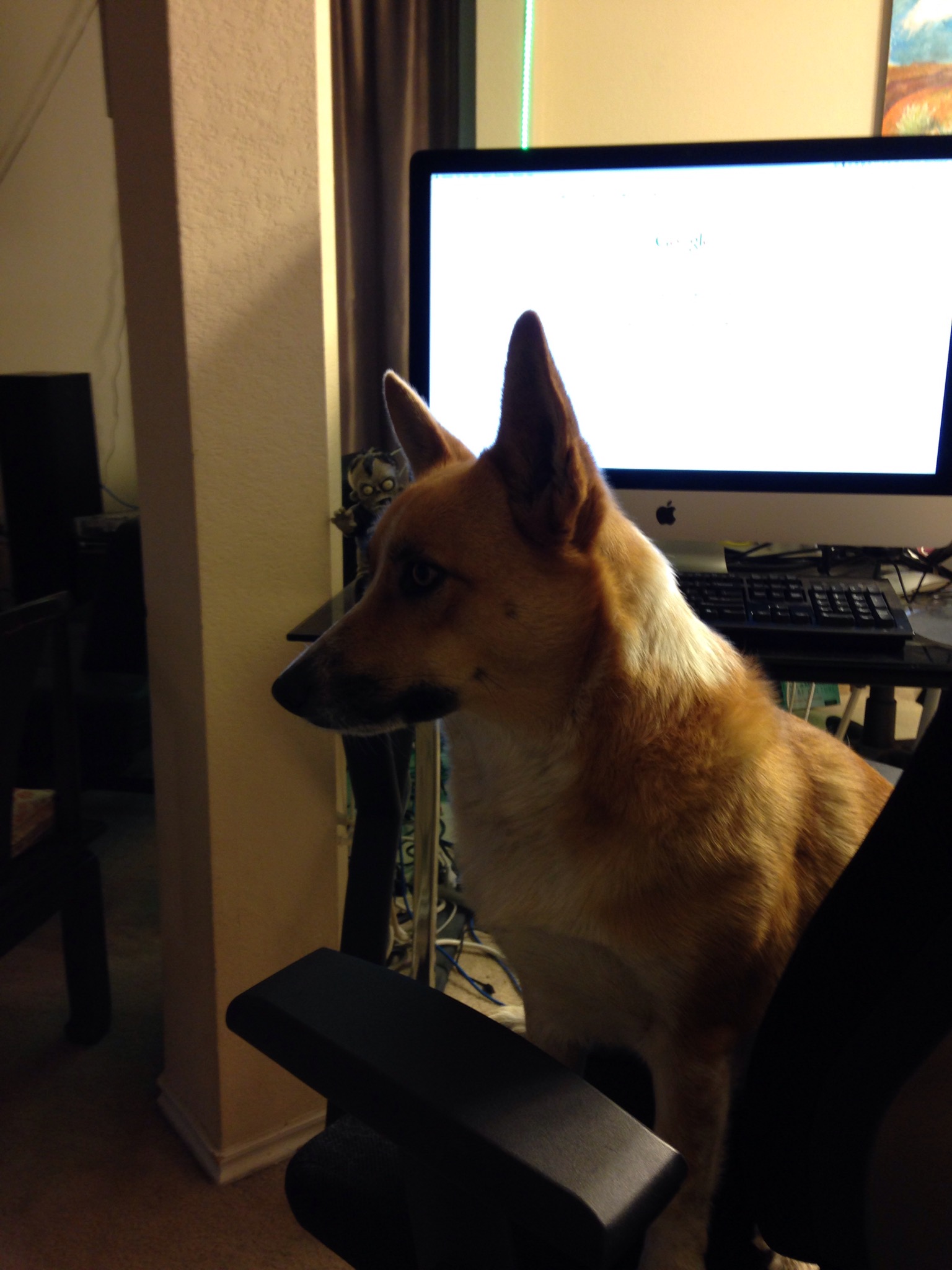 Serious Office Business